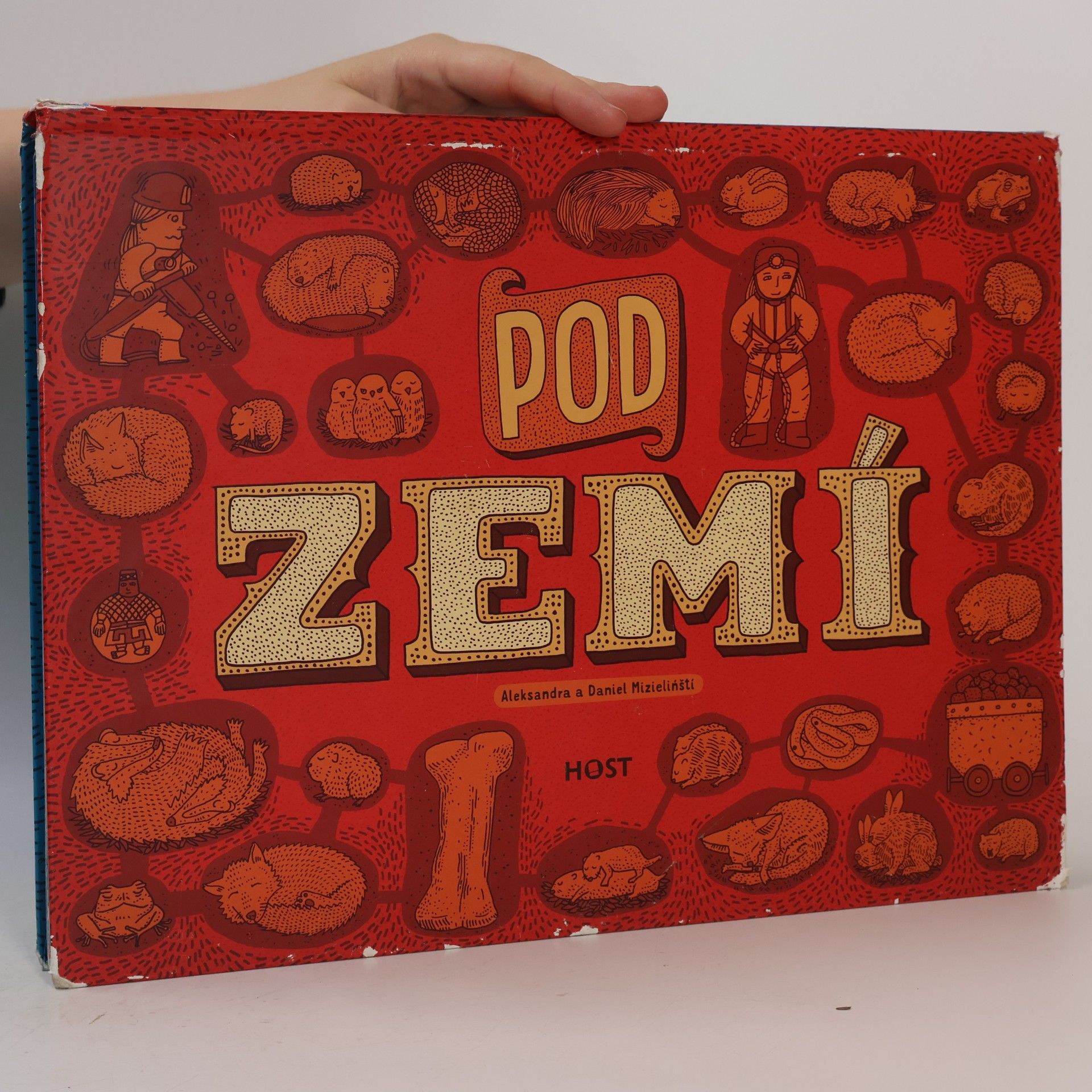 Aleksandra Mizielinska Pod zemí. Pod vodou