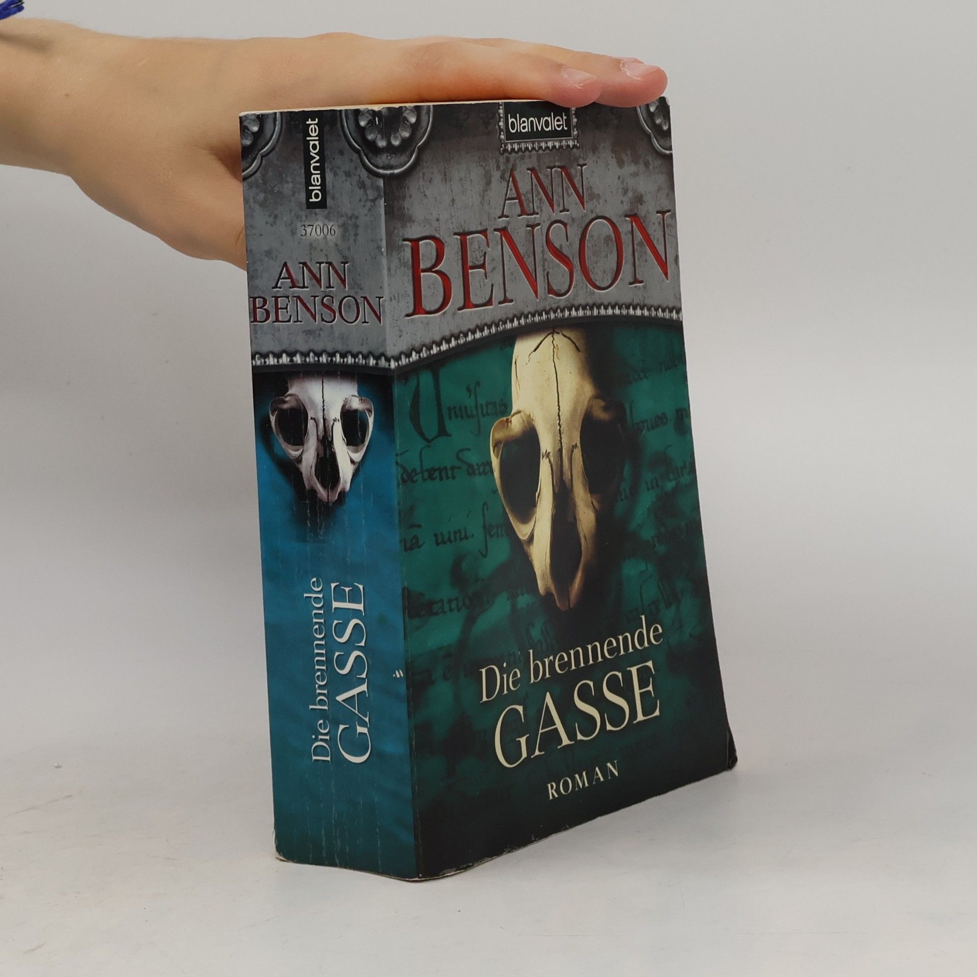 Ann Benson Die brennende Gasse