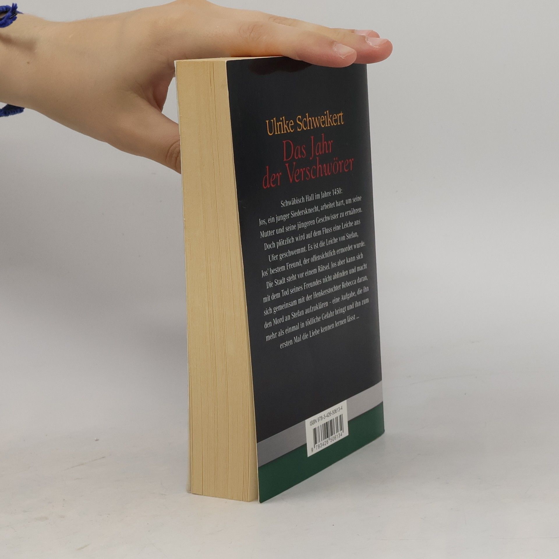 Ulrike Schweikert Das Jahr der Verschwörer