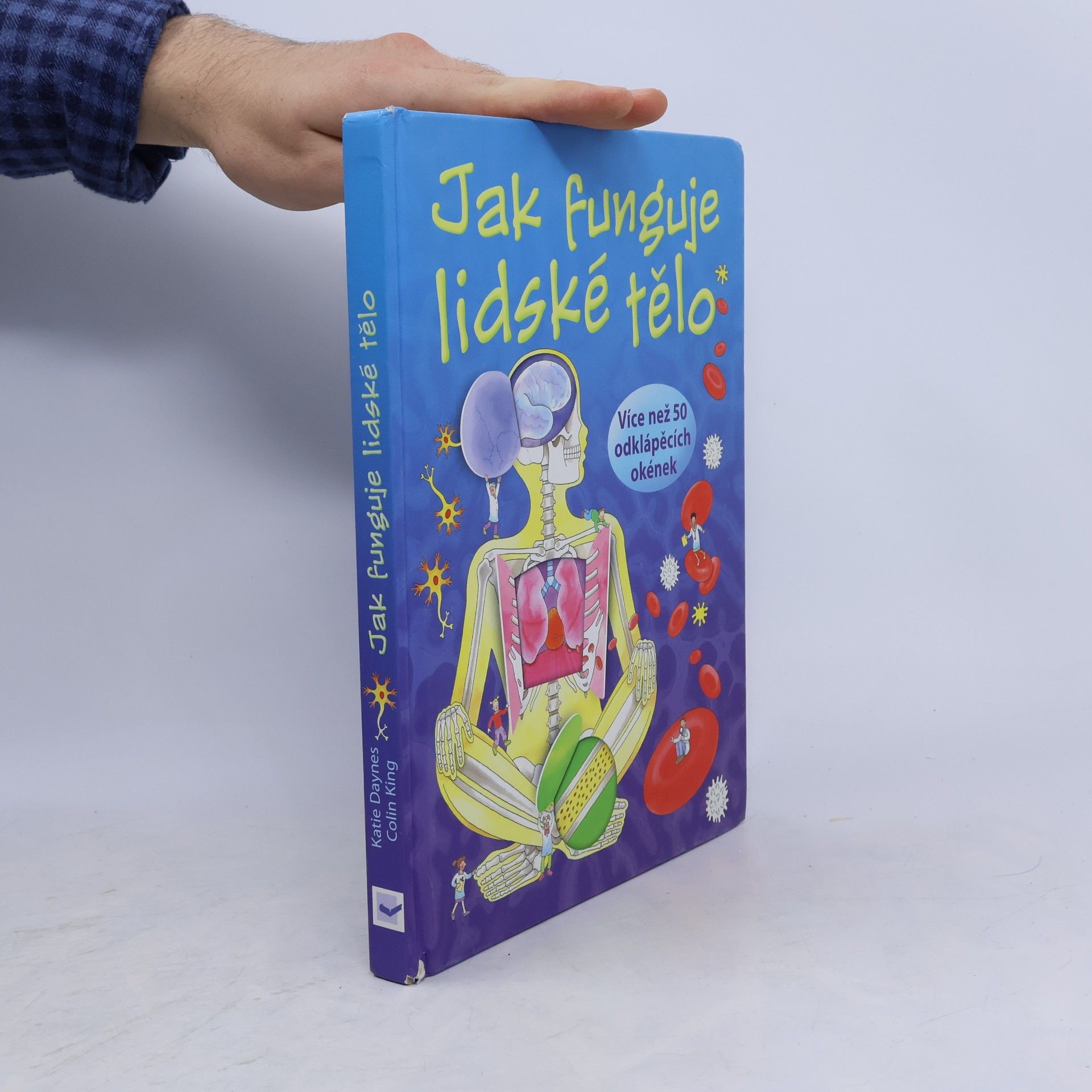 Katie Daynes Jak funguje lidské tělo