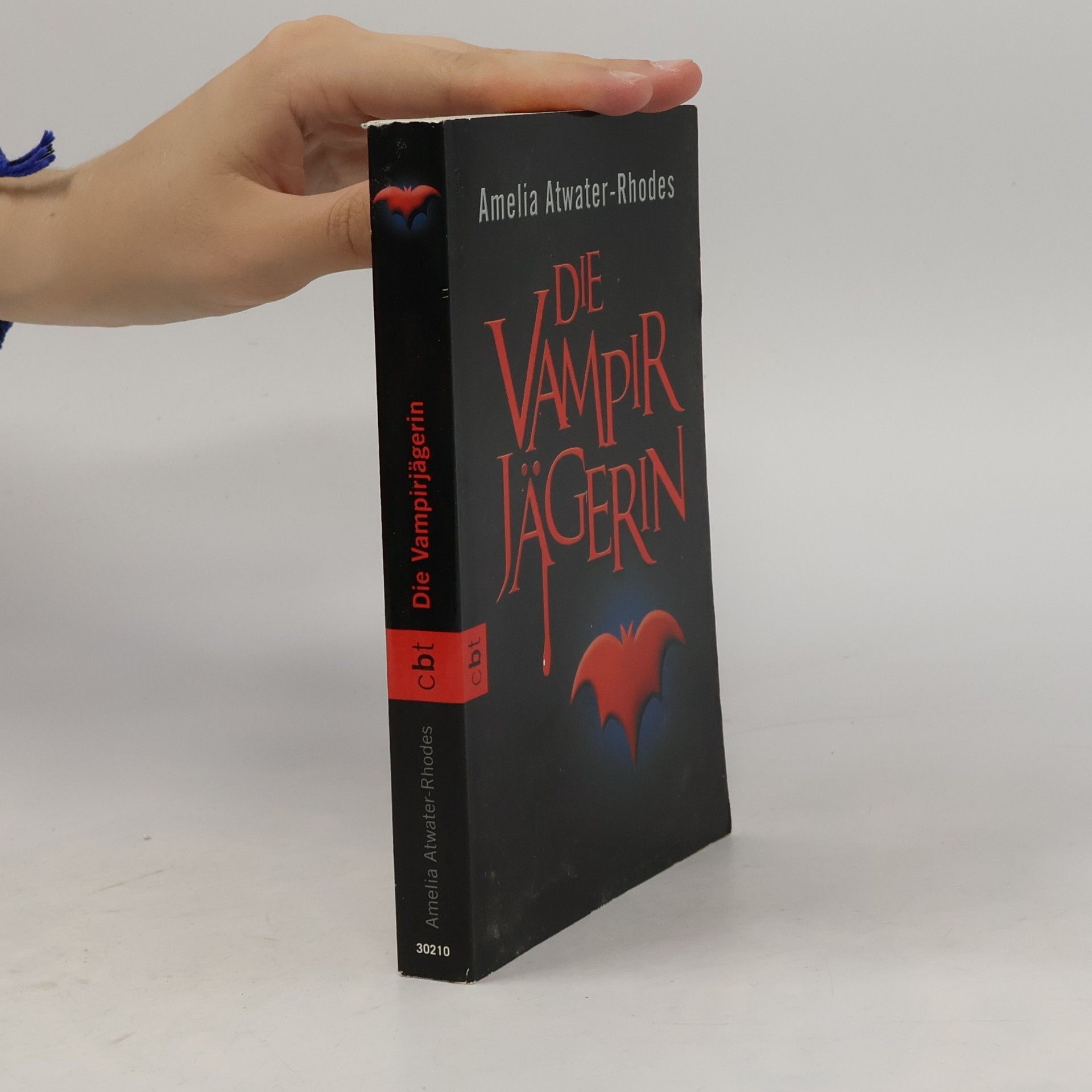 Die Vampirjägerin