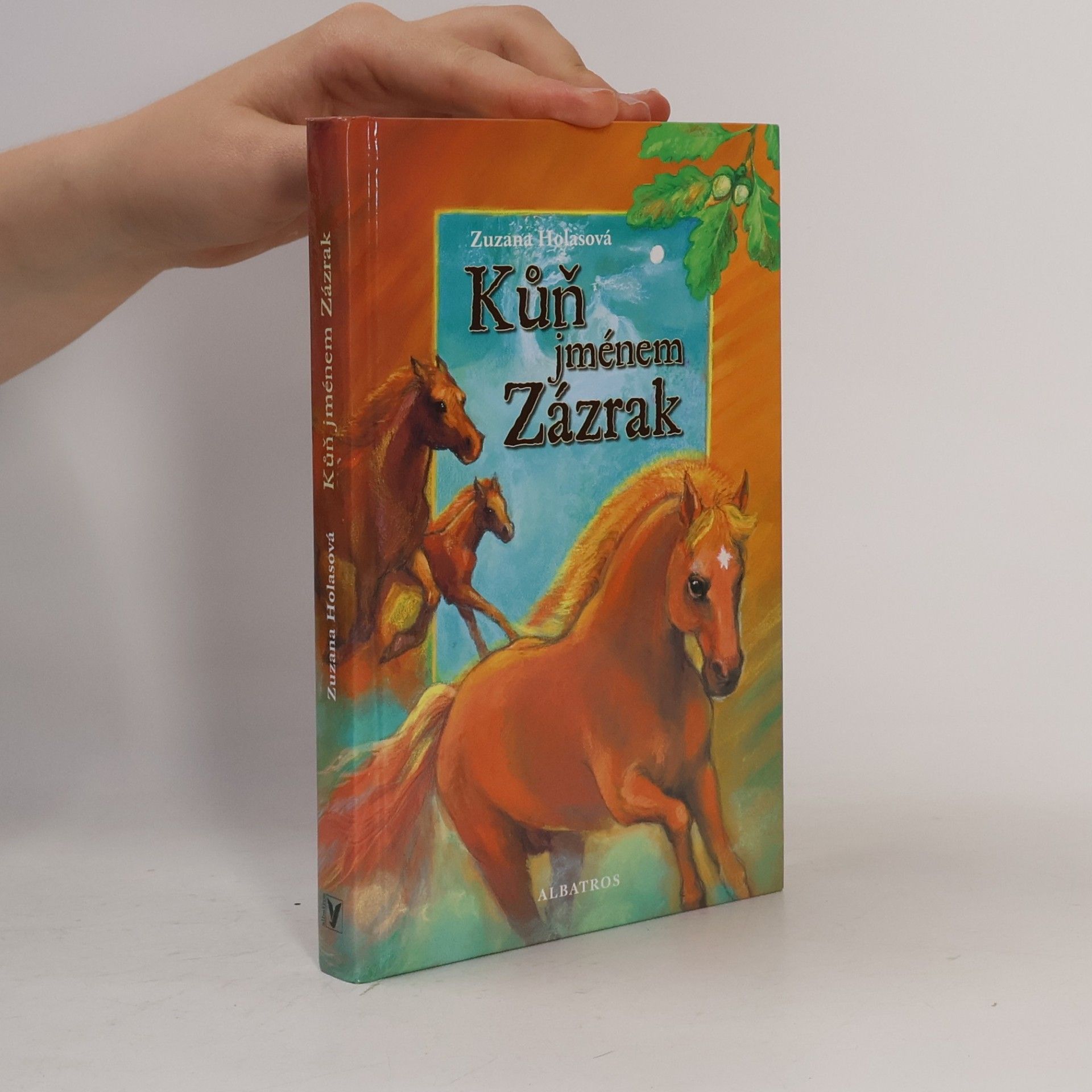 Zuzana Holasová Kůň jménem Zázrak