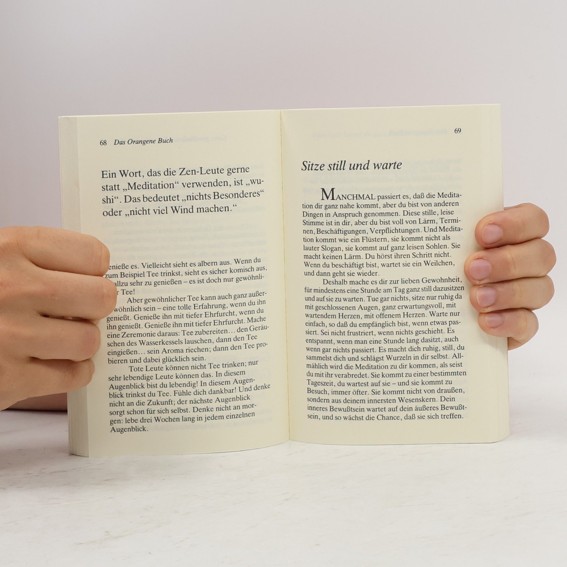Osho Das orangene Buch