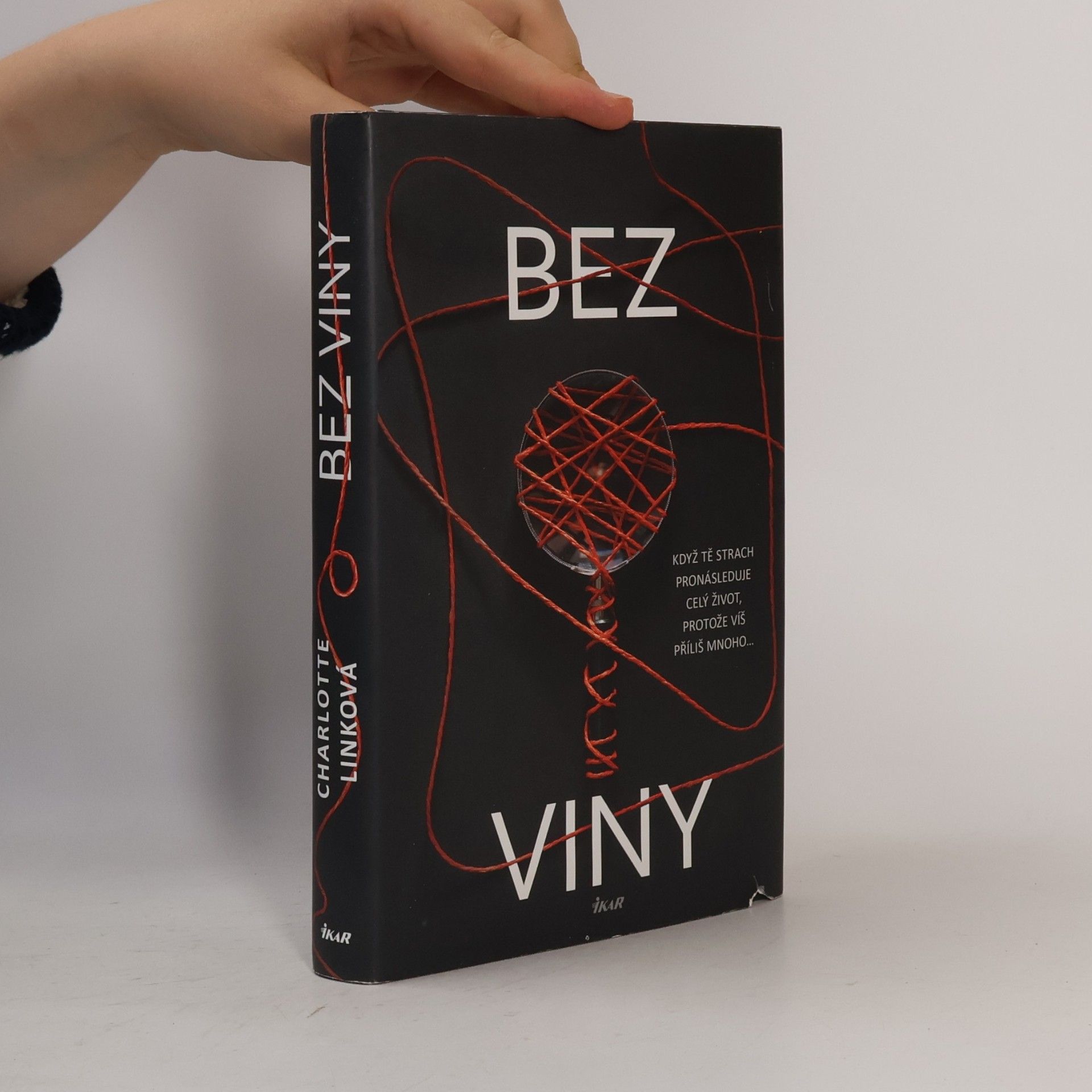 Charlotte Link Bez viny