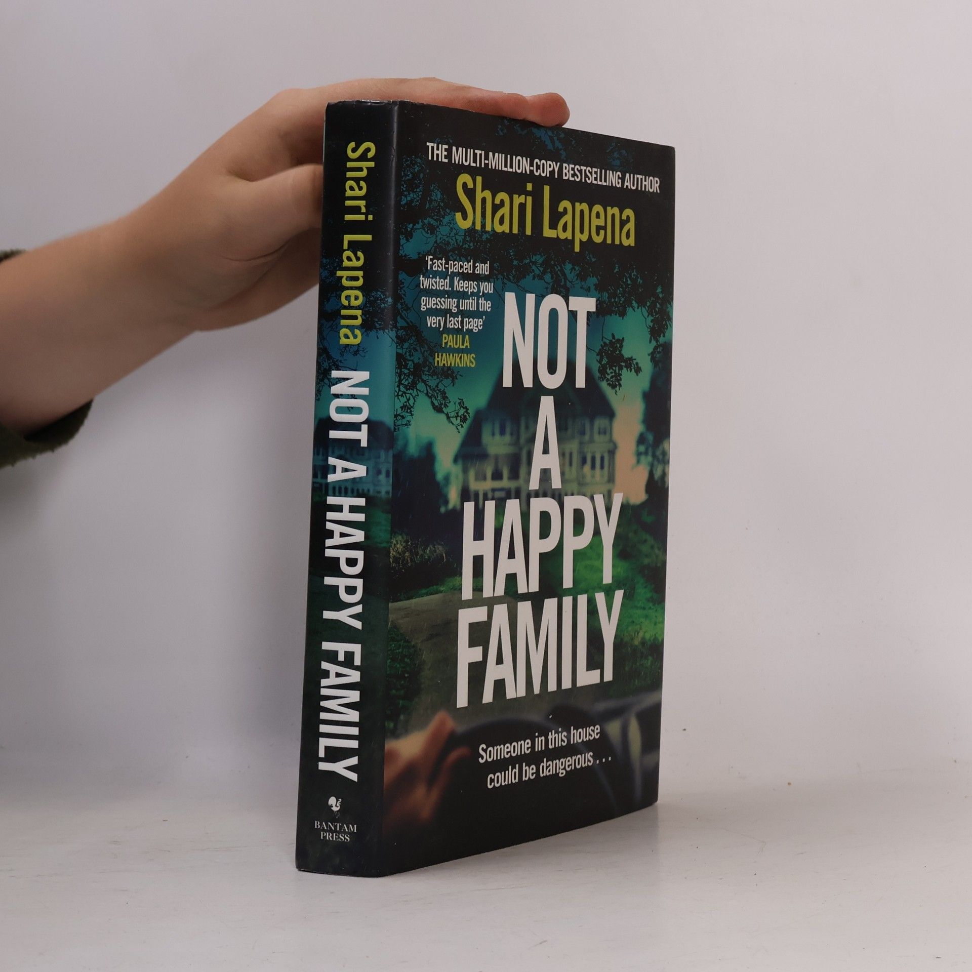 Shari Lapena Not a Happy Family