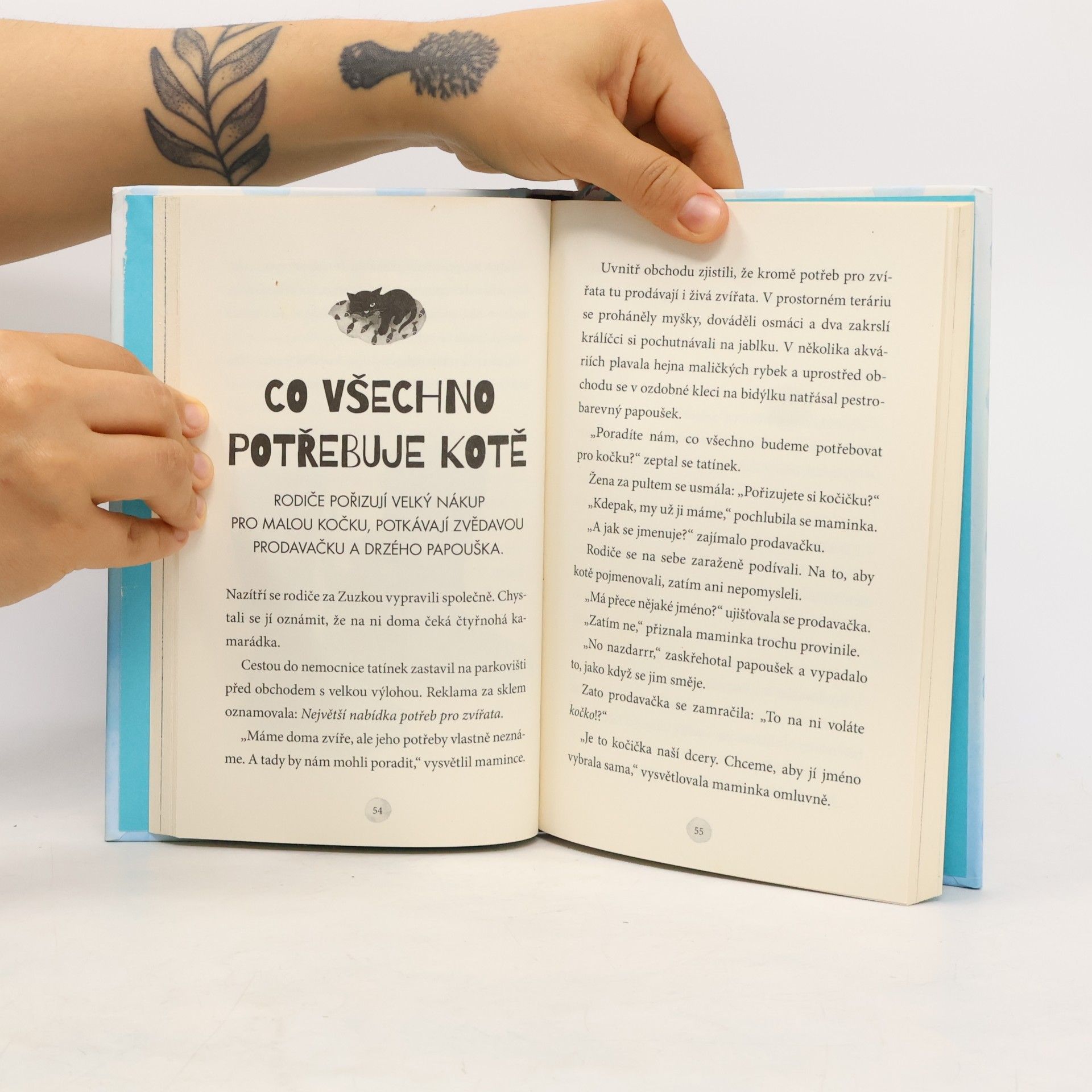 Věra Hudáčková Barochová Zuzka a ztracené kotě