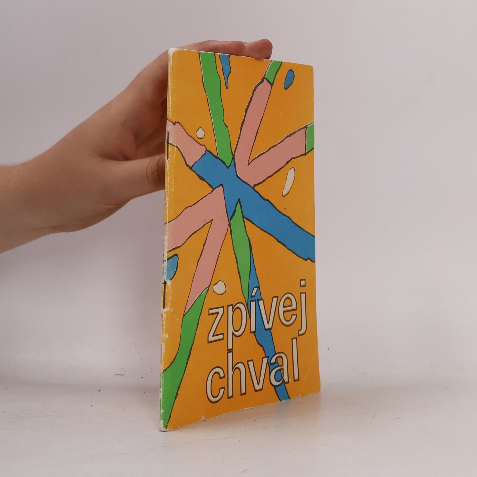 Aleš Lamr Zpívej, chval