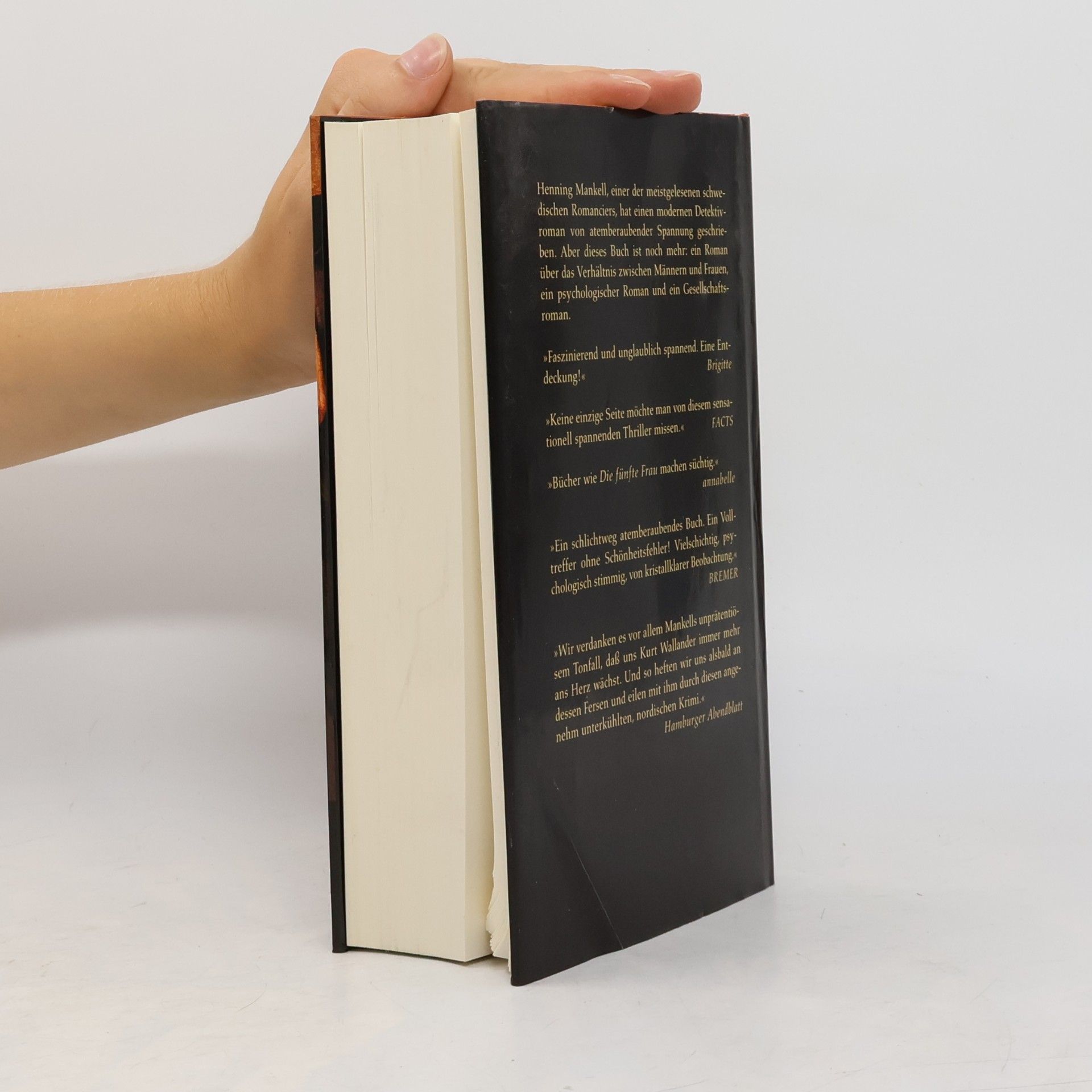 Henning Mankell Die fünfte Frau
