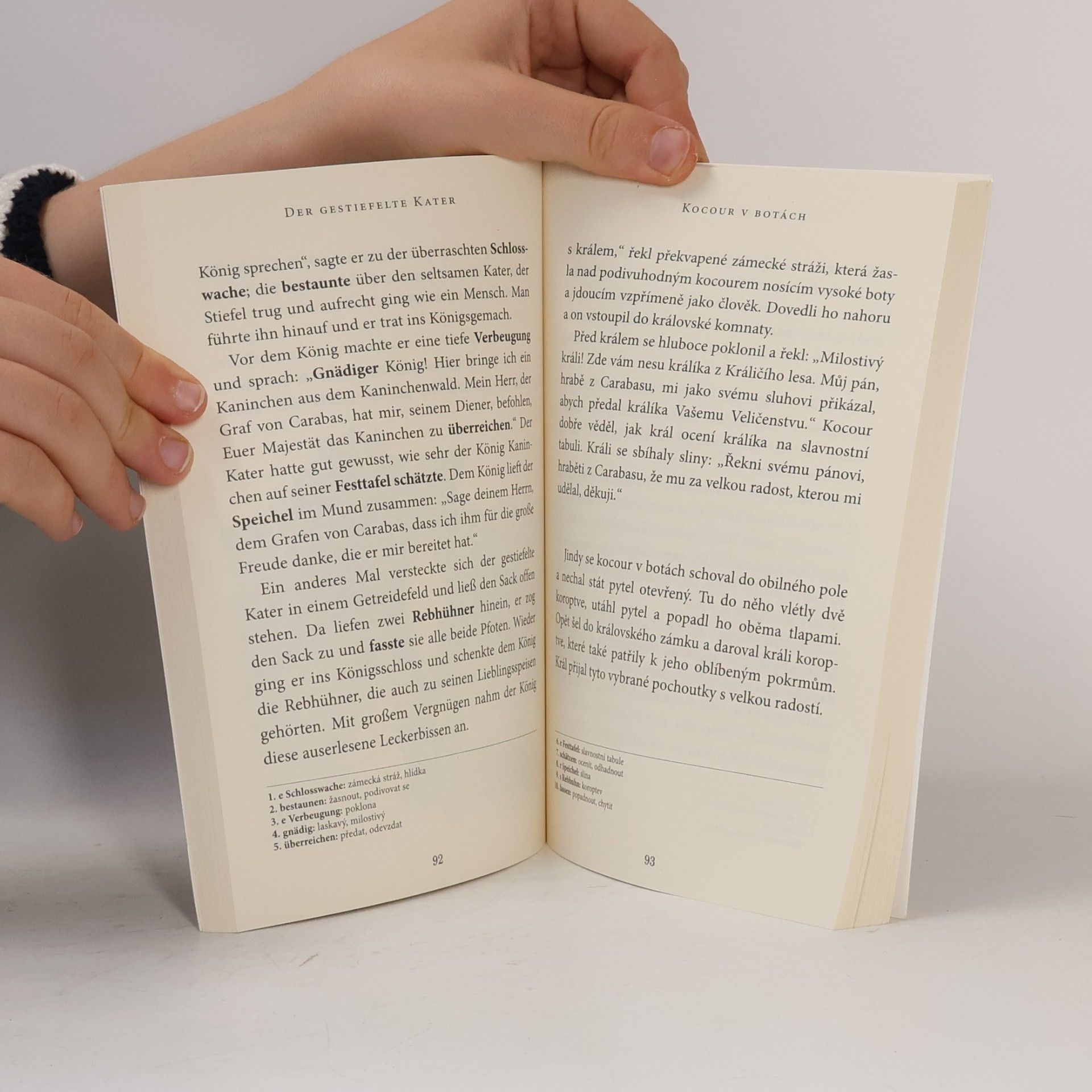 Jacob Grimm Aschenputtel und andere Märchen = Popelka a jiné pohádky bratří Grimmů