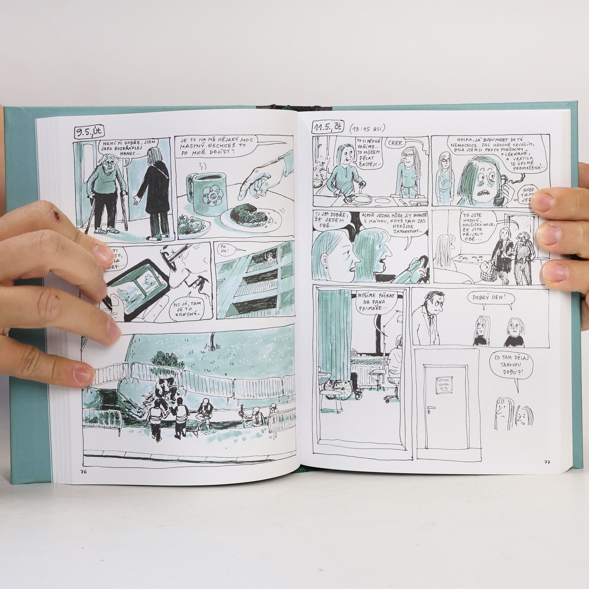 Lucie Lomová Každý den je nový : komiksový deník