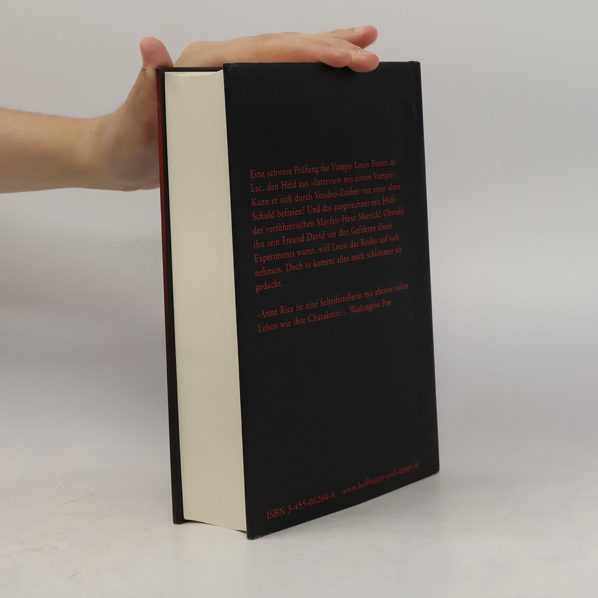 Anne Rice Merrick oder die Schuld des Vampirs