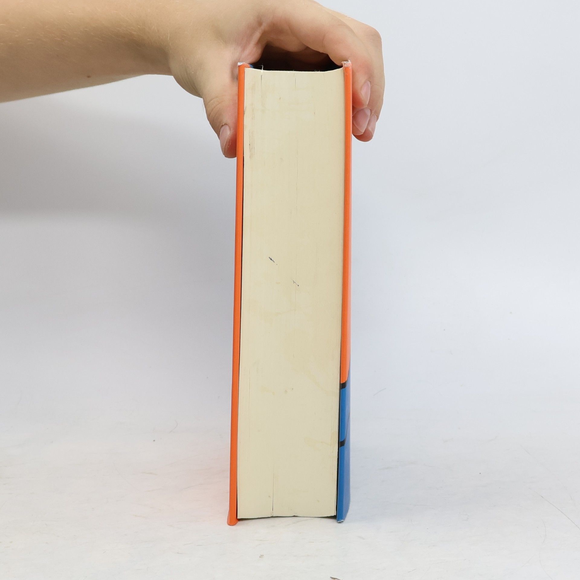 Denis Guedj Das Theorem des Papageis