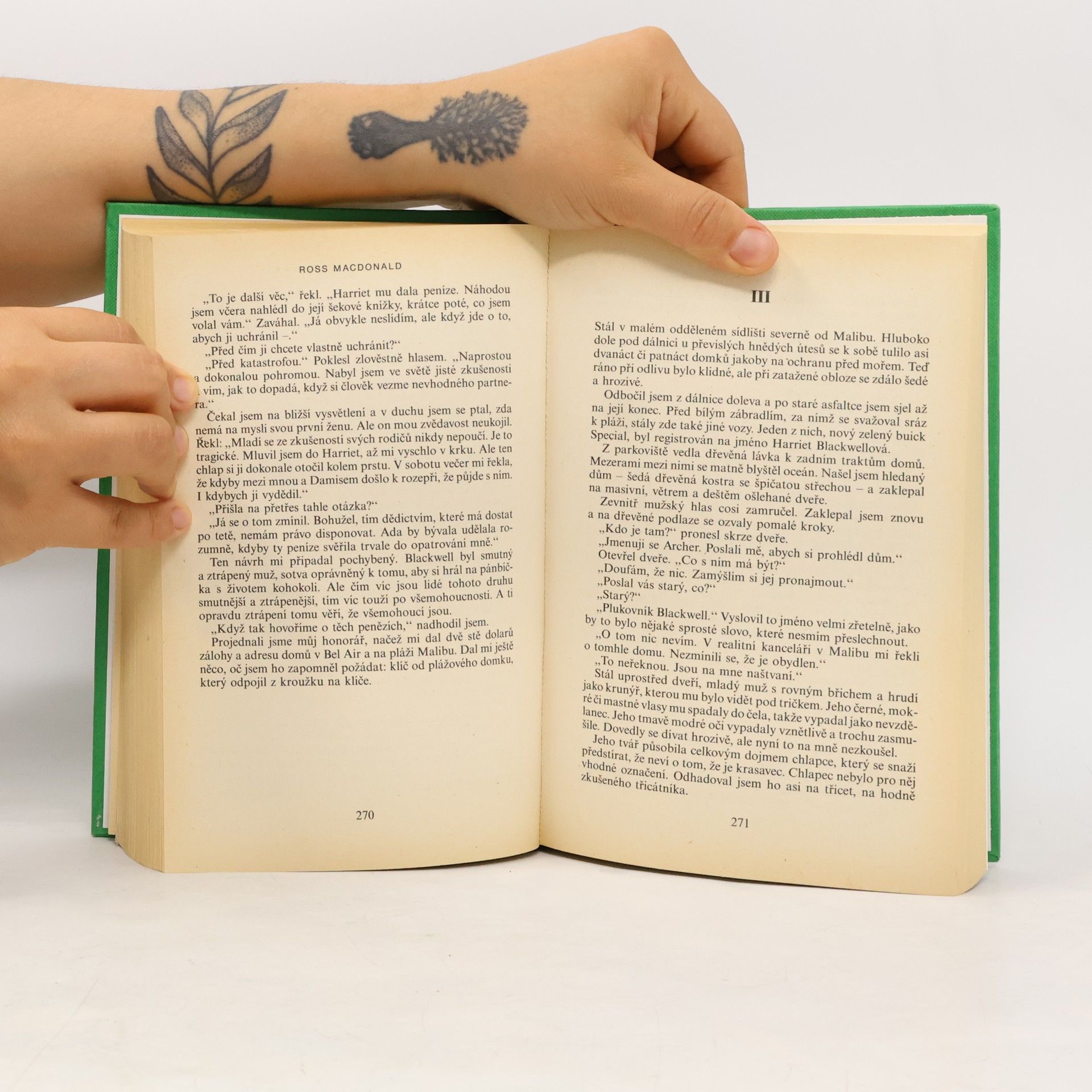 Ross Macdonald Šípková Růženka. Bíle pruhovaný pohřební vůz