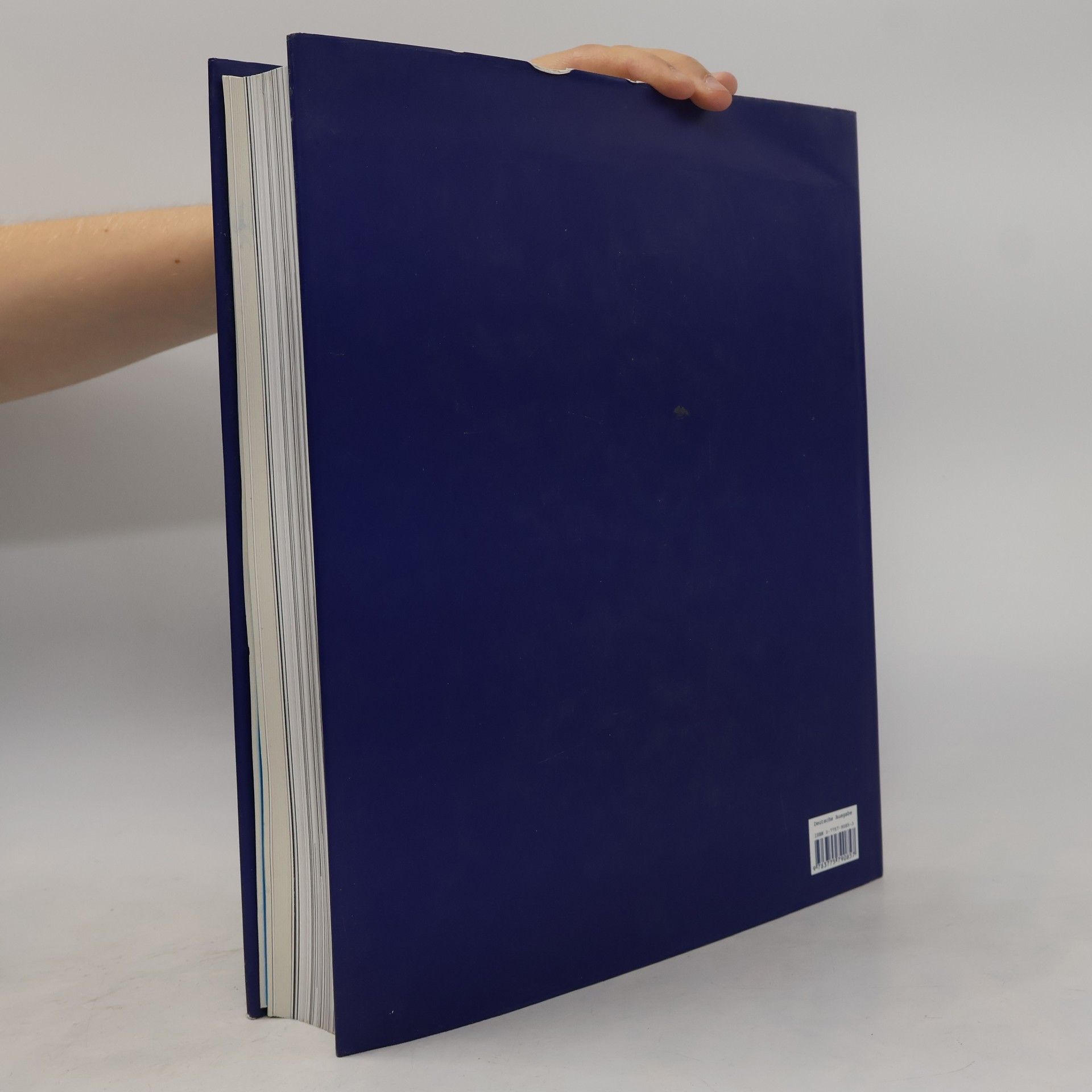Gerti Fietzek Katalog / Documenta 11