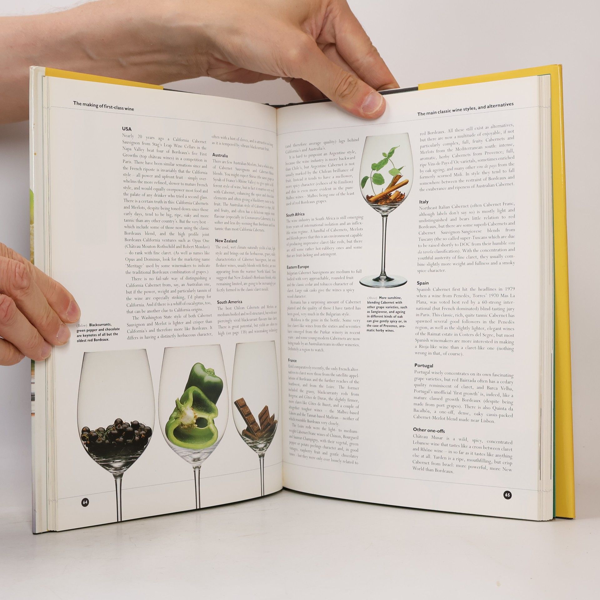 Joanna Simon Discovering Wine