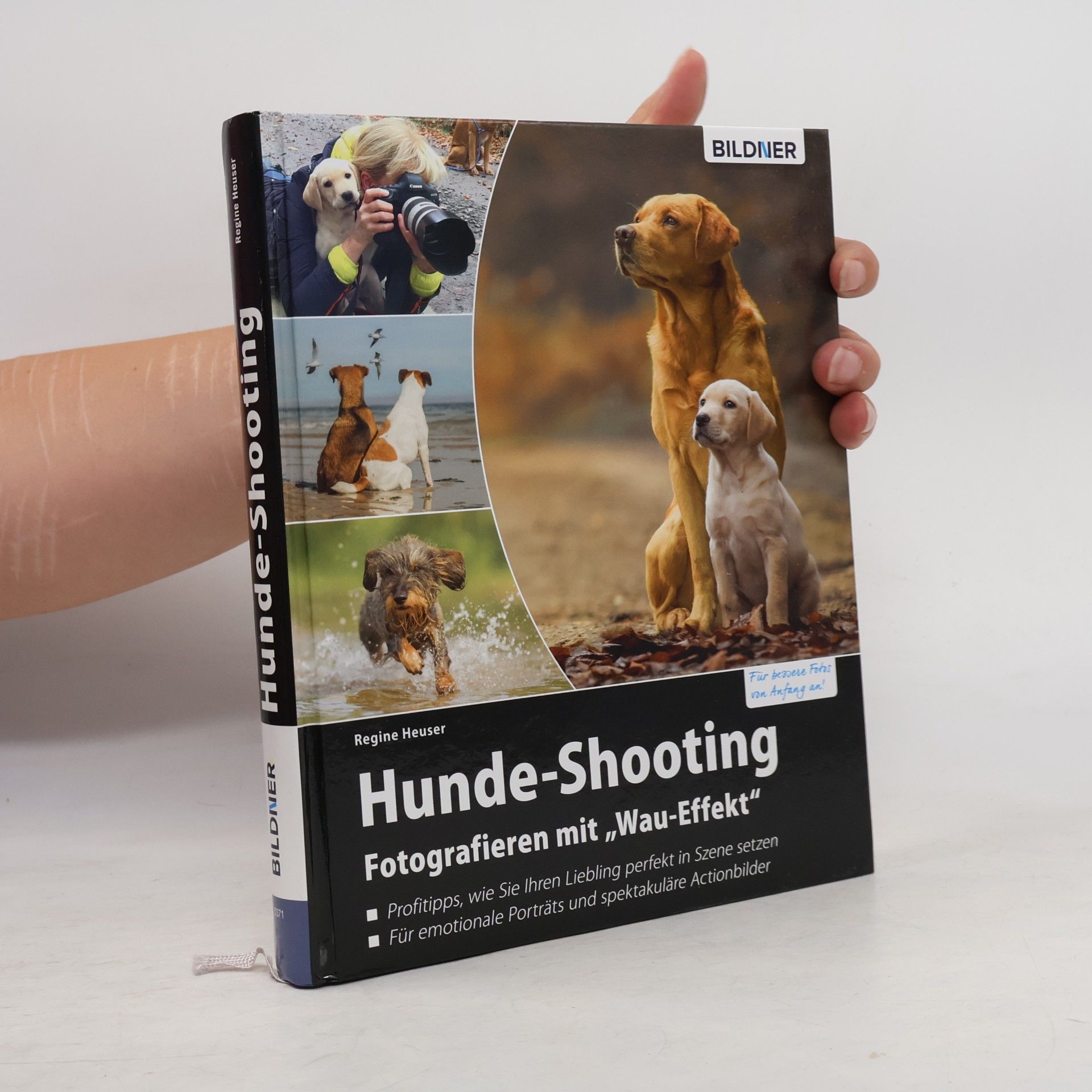 Hunde-Shooting: Fotografieren mit "Wau-Effekt"