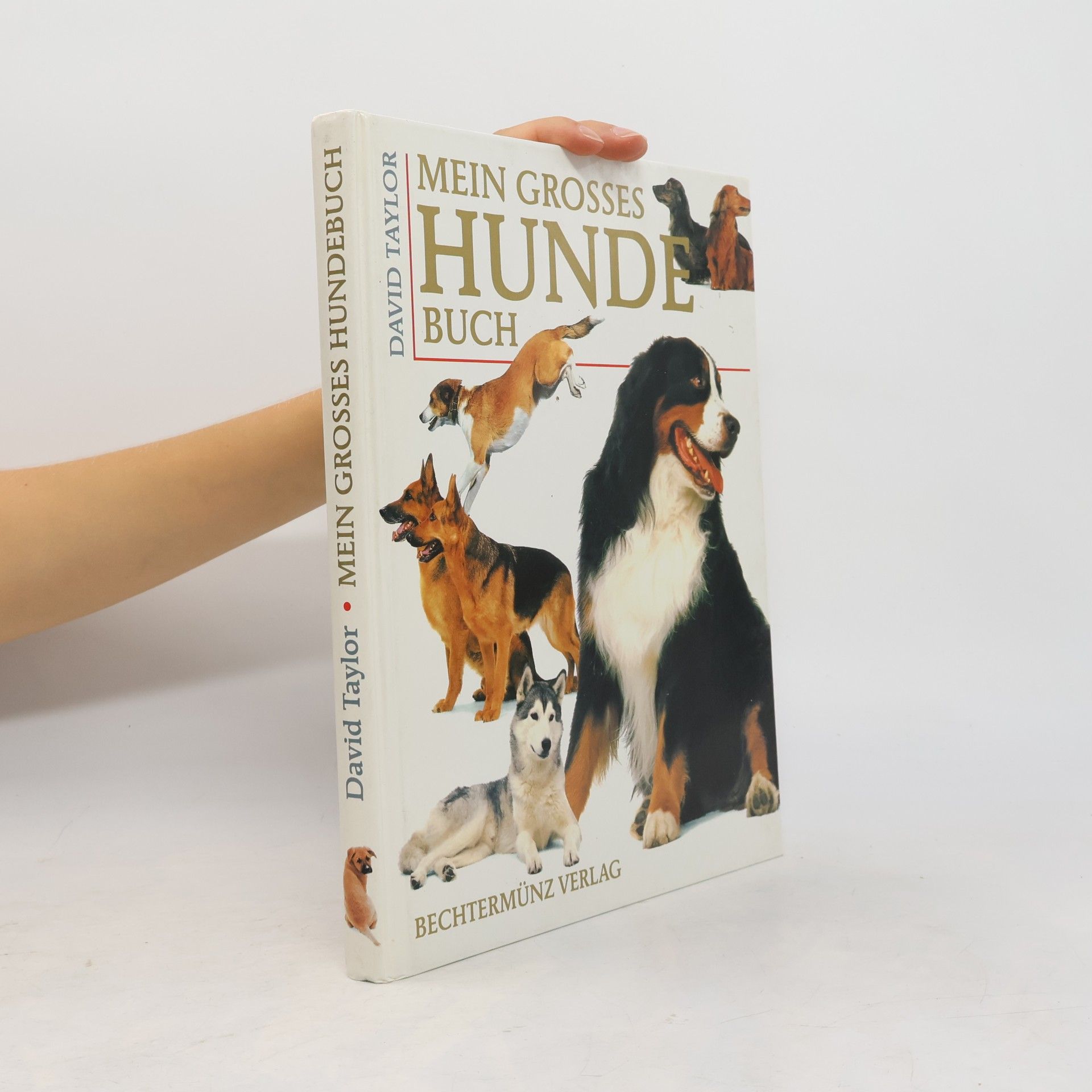 David Conrad Taylor Mein grosses Hunde-Buch