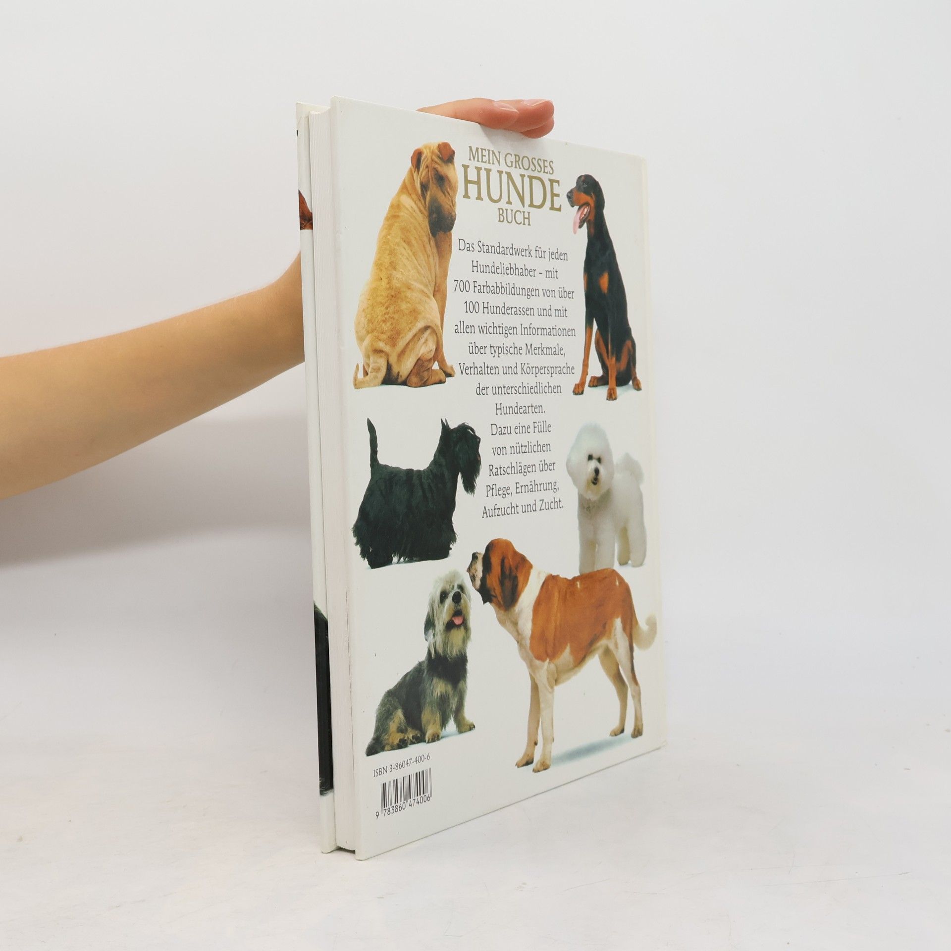 David Conrad Taylor Mein grosses Hunde-Buch