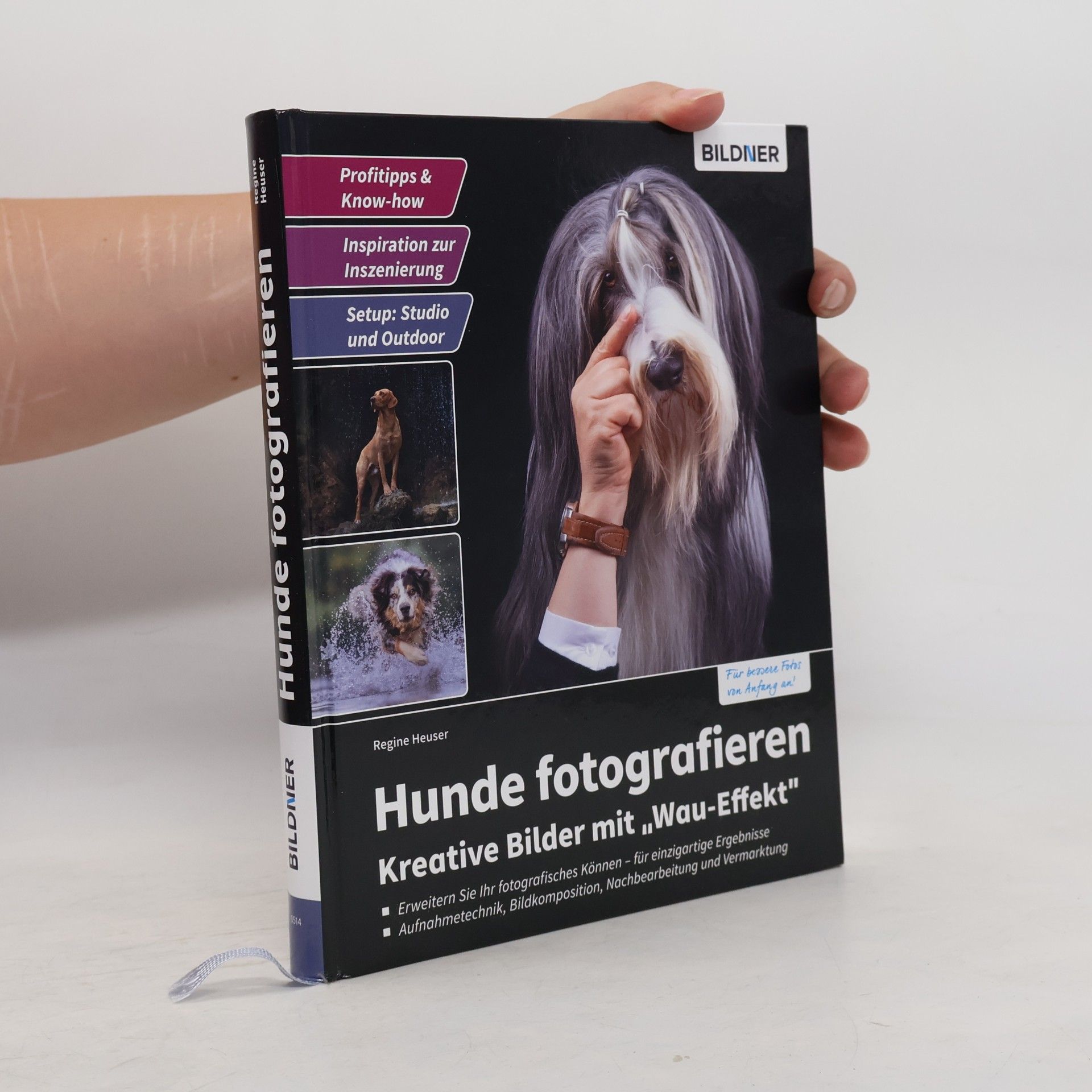 Hunde fotografieren - Kreative Bilder mit "Wau-Effekt"