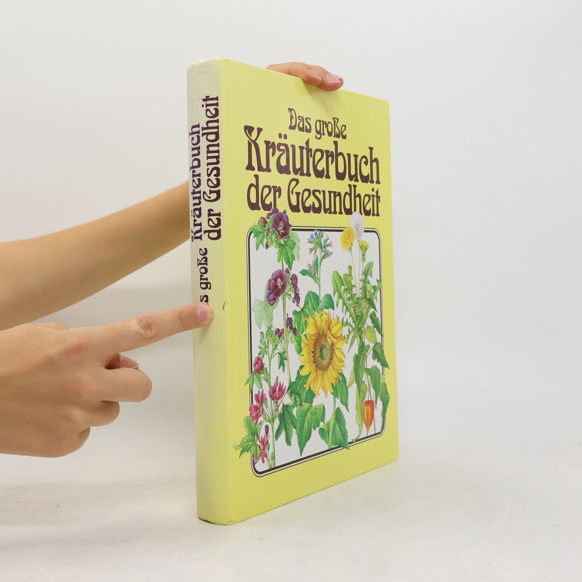 Hermann Lichtenstern Das große Kräuterbuch der Gesundheit