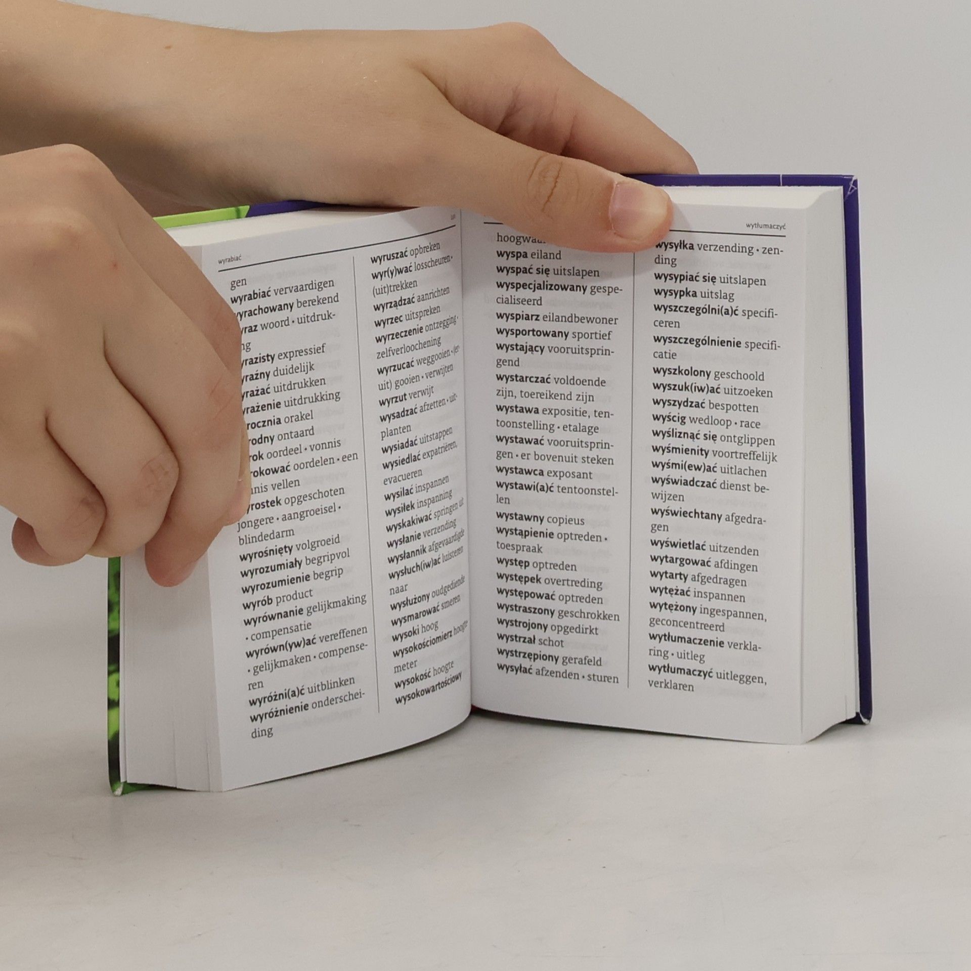 Van Dale Van Dale miniwoordenboek: Pools-Nederlands, Nederlands-Pools (Van Dale miniwoordenboeken)
