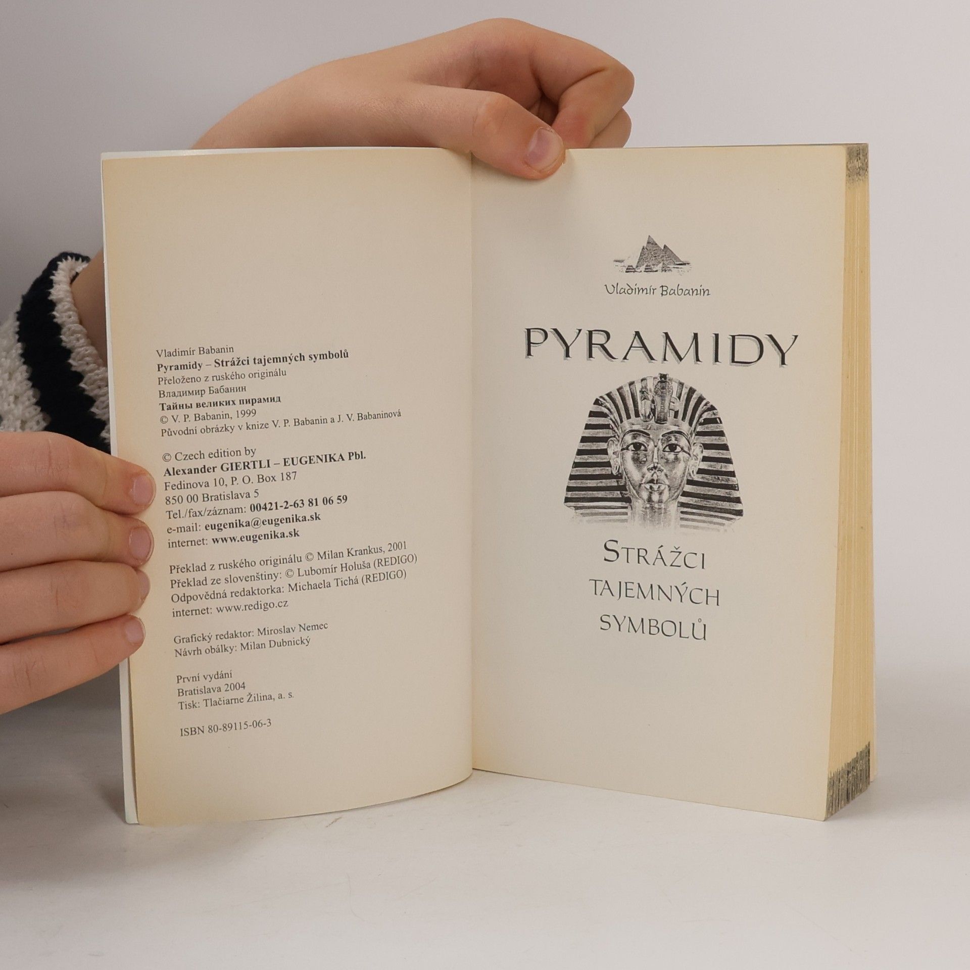 Vladimir Petrovič Babanin Pyramidy. Strážci tajemných symbolů