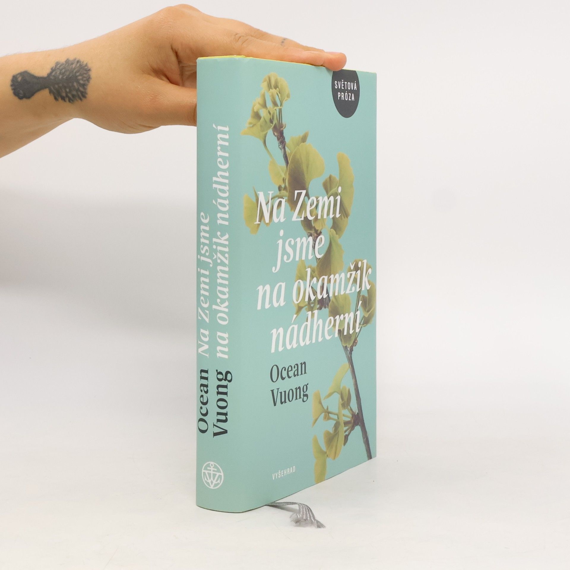 Ocean Vuong Na Zemi jsme na okamžik nádherní