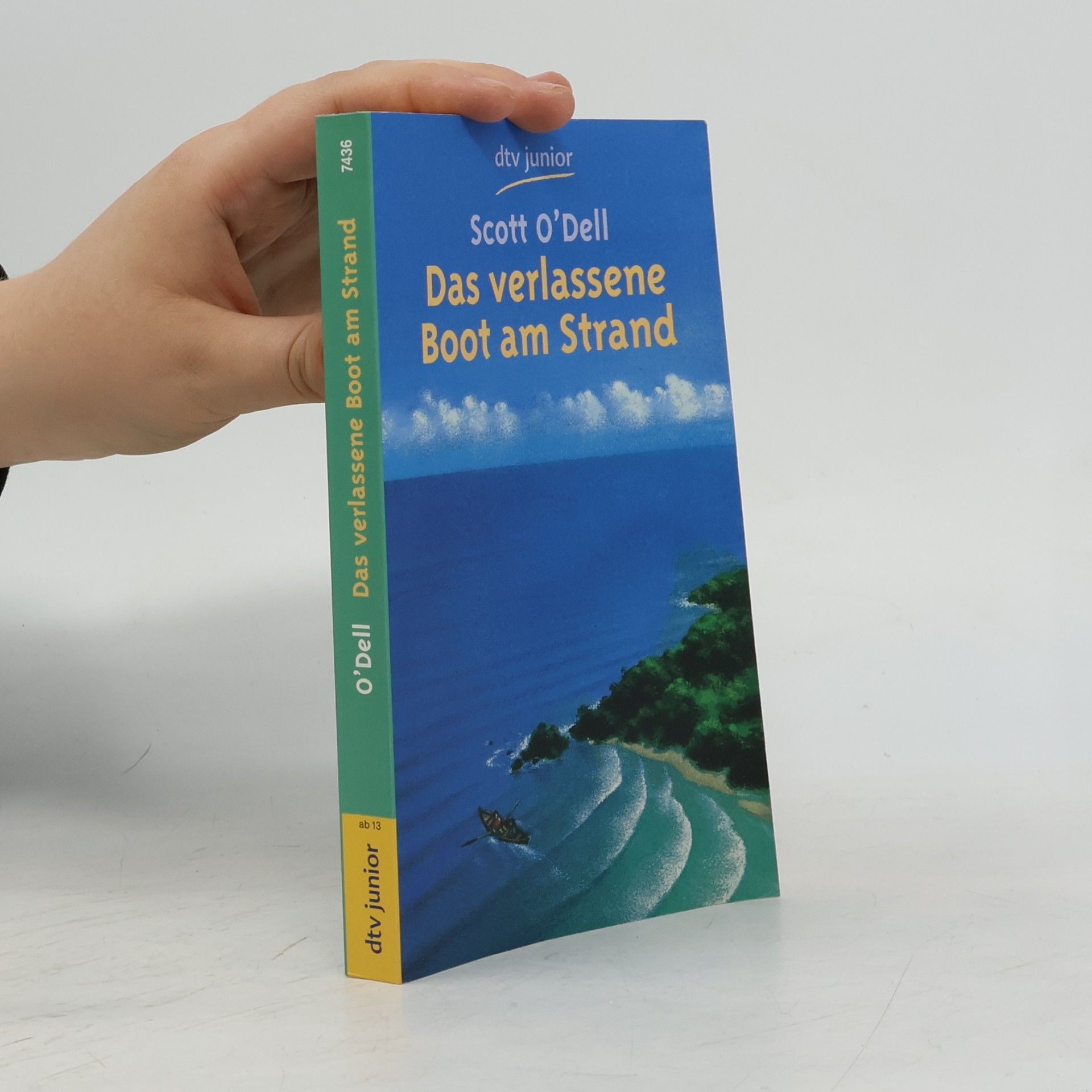 Das verlassene Boot am Strand