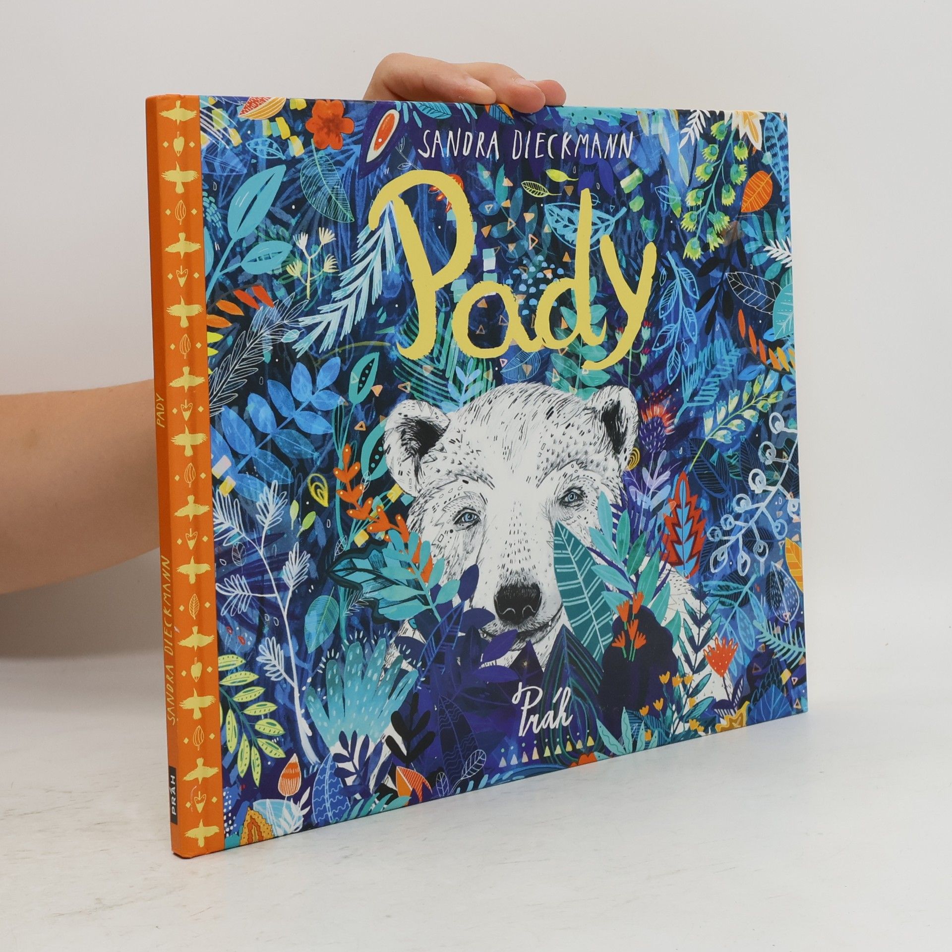Sandra Dieckmann Pady
