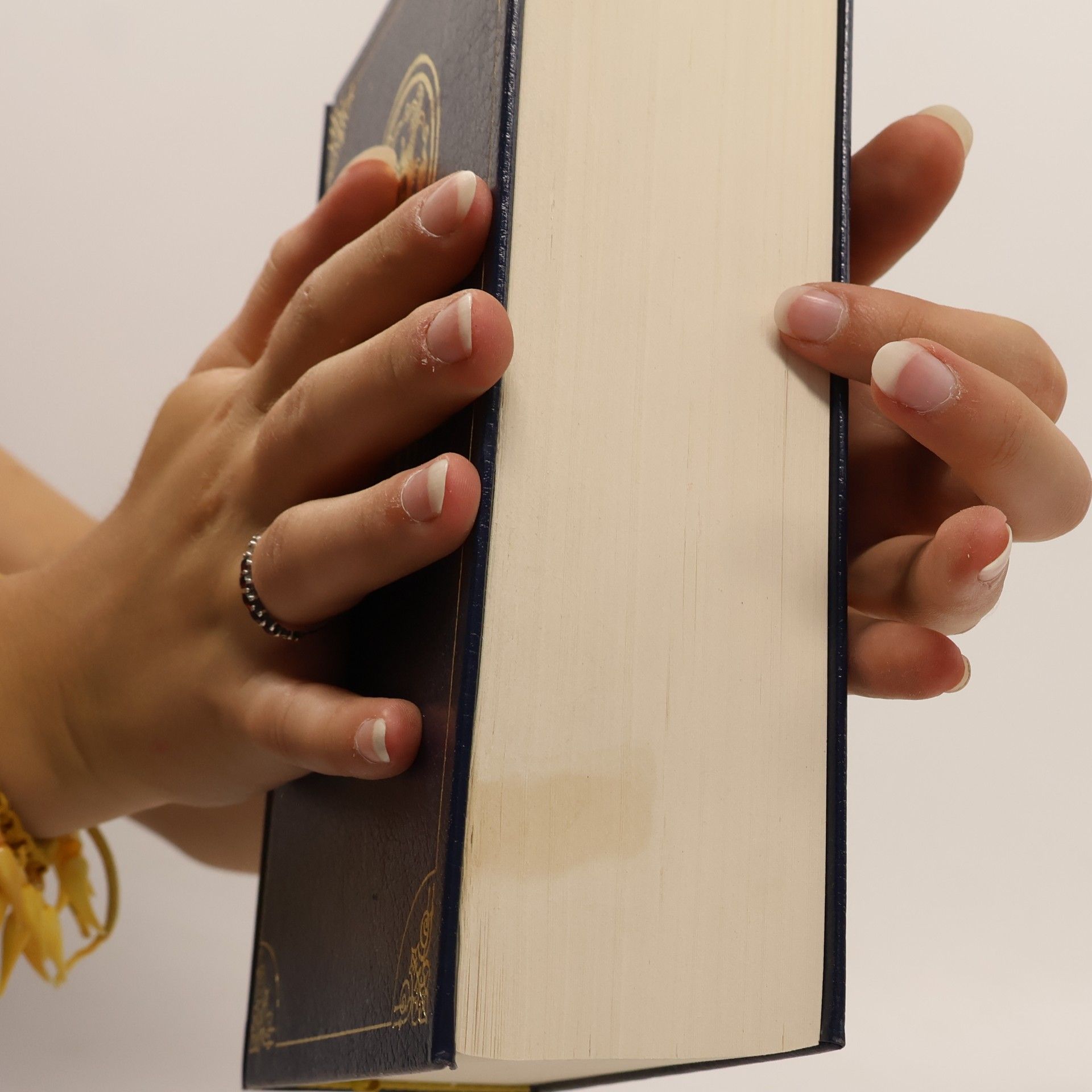 Martin Luther Die Bibel oder die ganze Heilige Schrift des Alten und Neuen Testaments