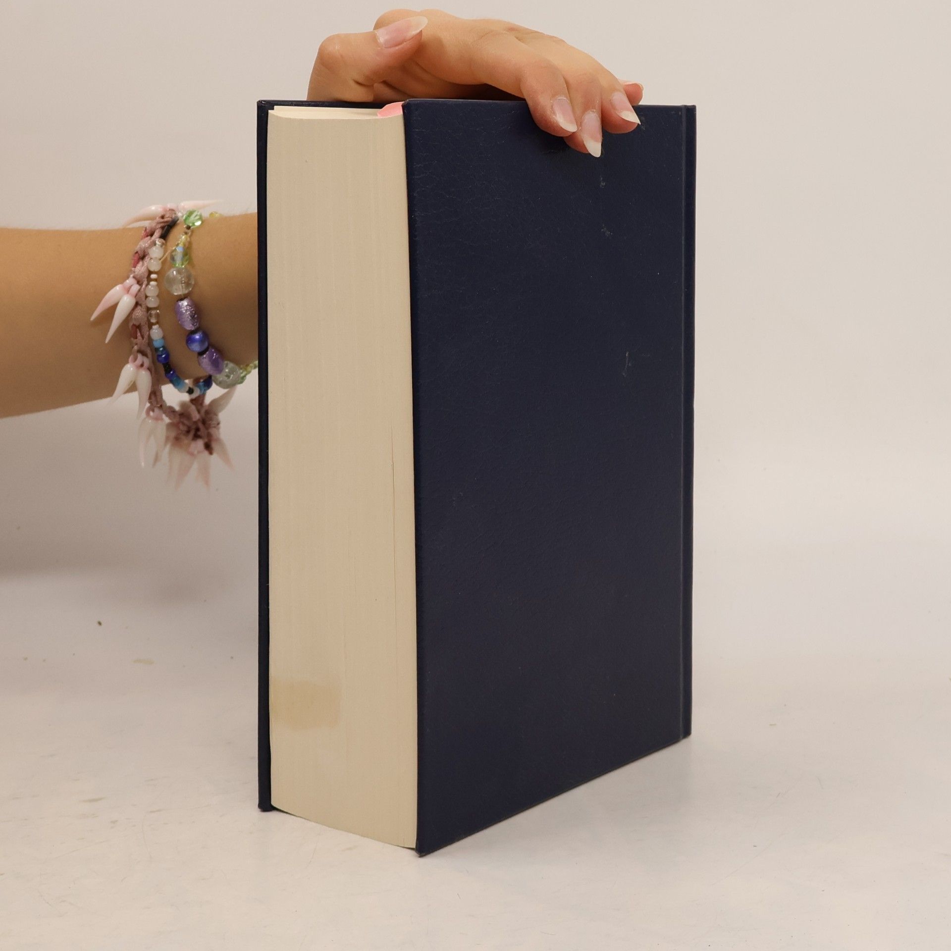 Martin Luther Die Bibel oder die ganze Heilige Schrift des Alten und Neuen Testaments