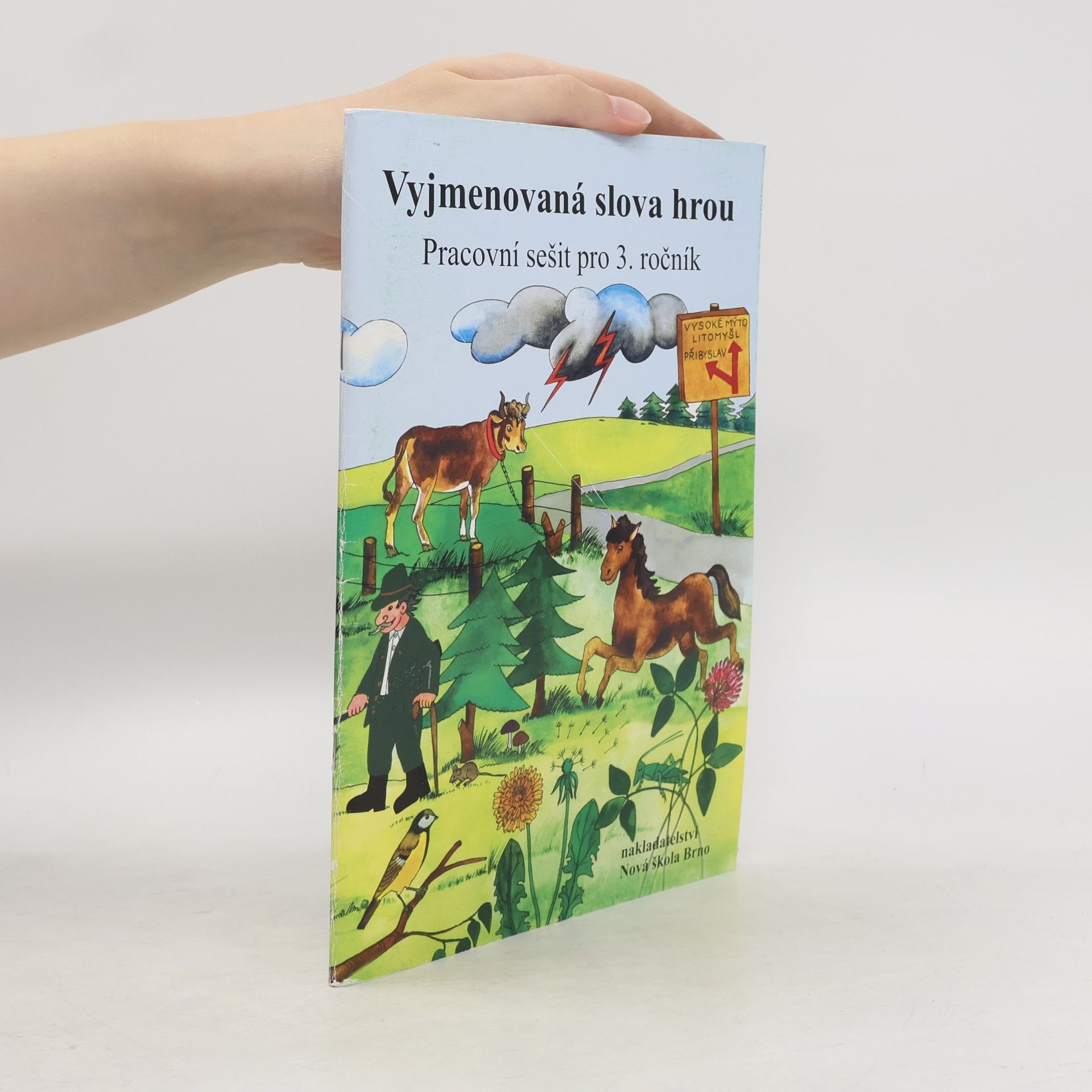 Kolektív autorov Vyjmenovaná slova hrou. Pracovní sešit pro 3. ročník