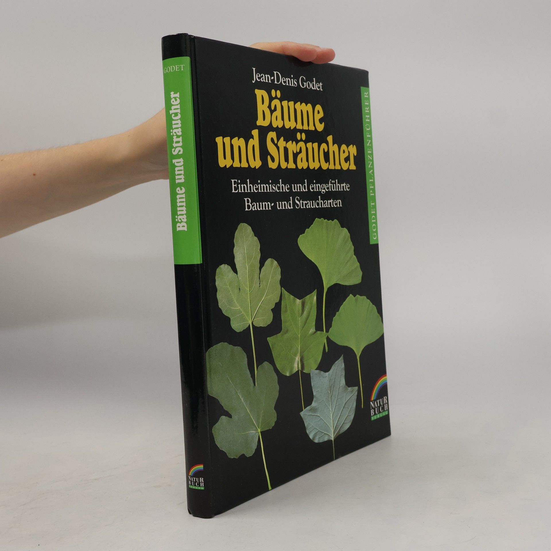 Jean Denis Godet Bäume und Sträucher
