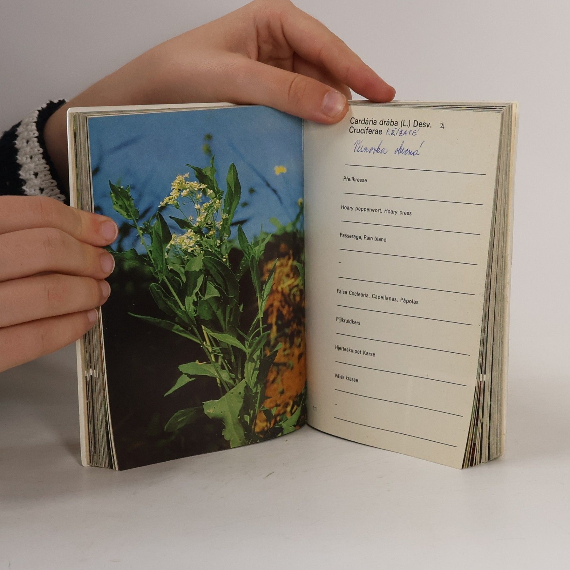 Autores varios Unkraut Fibel Schering