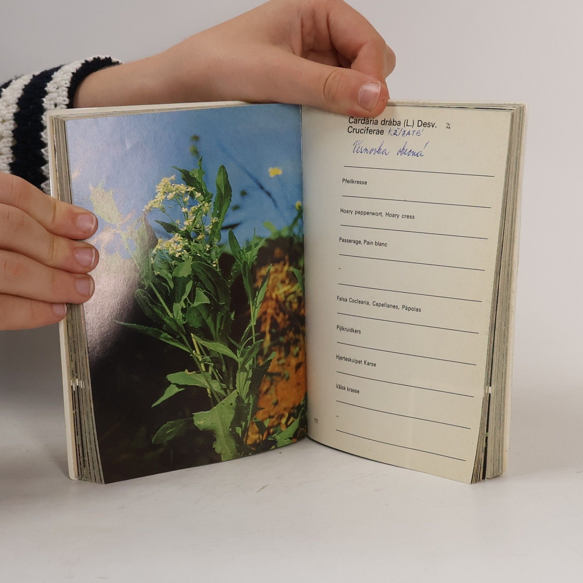 Autores varios Unkraut Fibel Schering