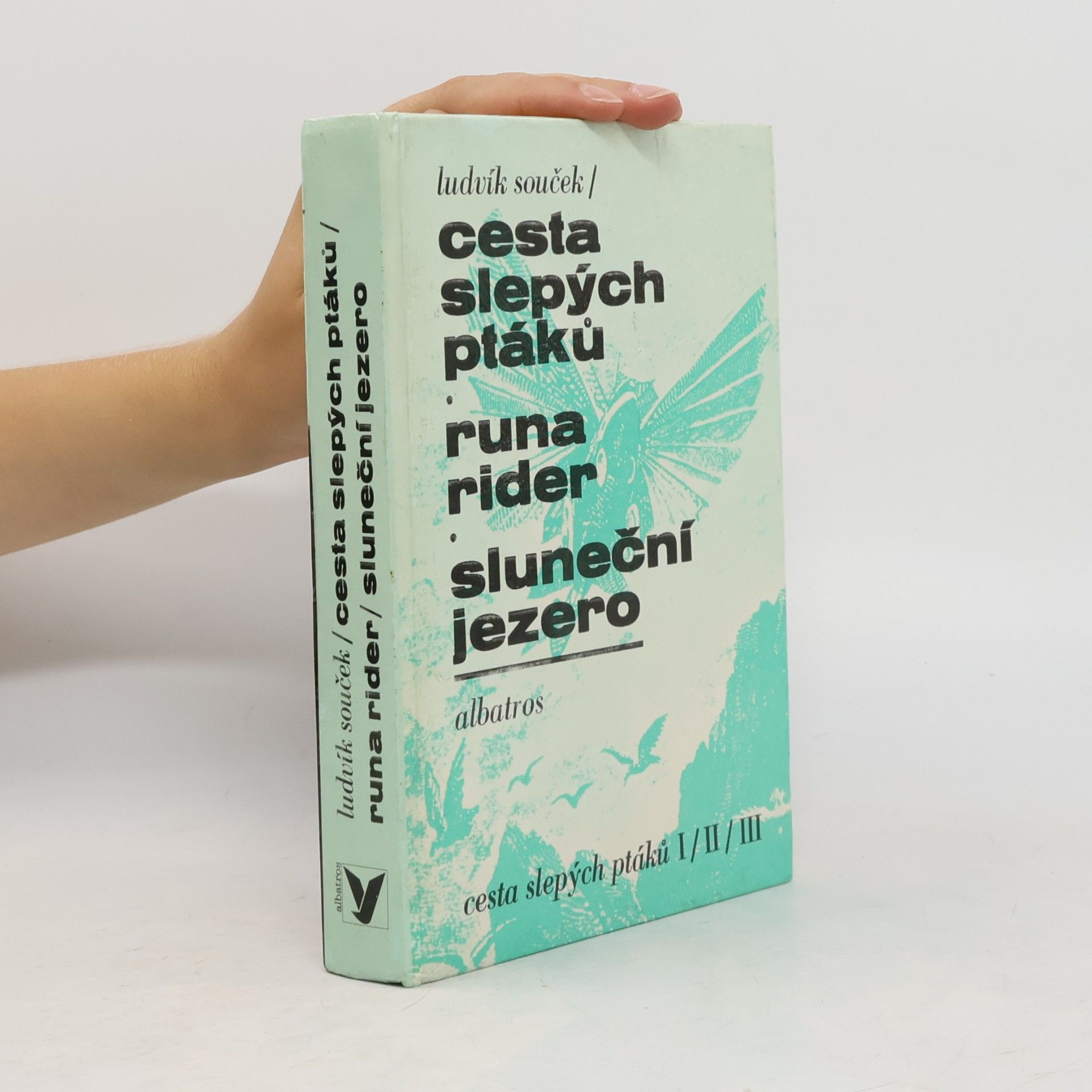 Cesta slepých ptáků. Runa rider. Sluneční jezero