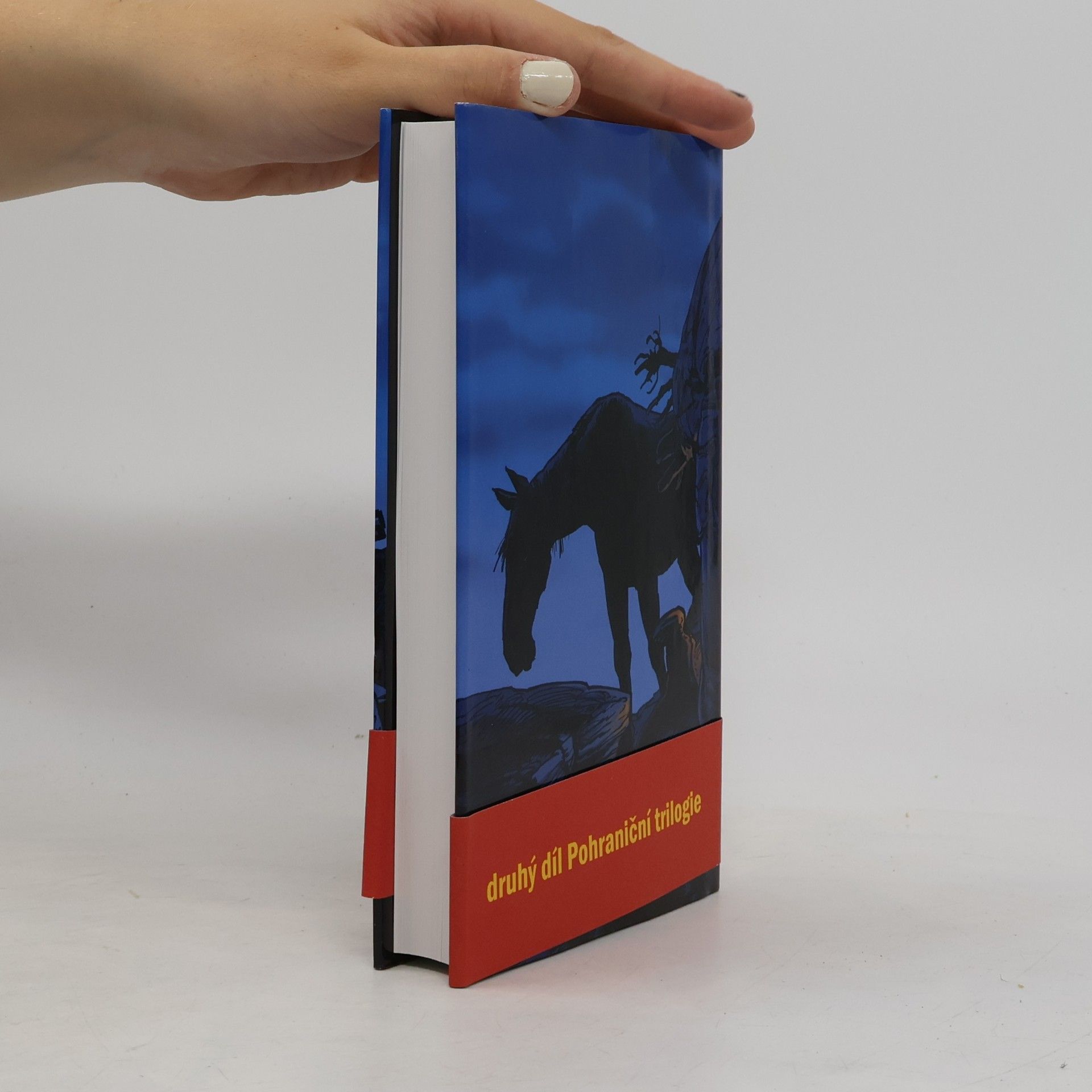 Cormac McCarthy Hranice