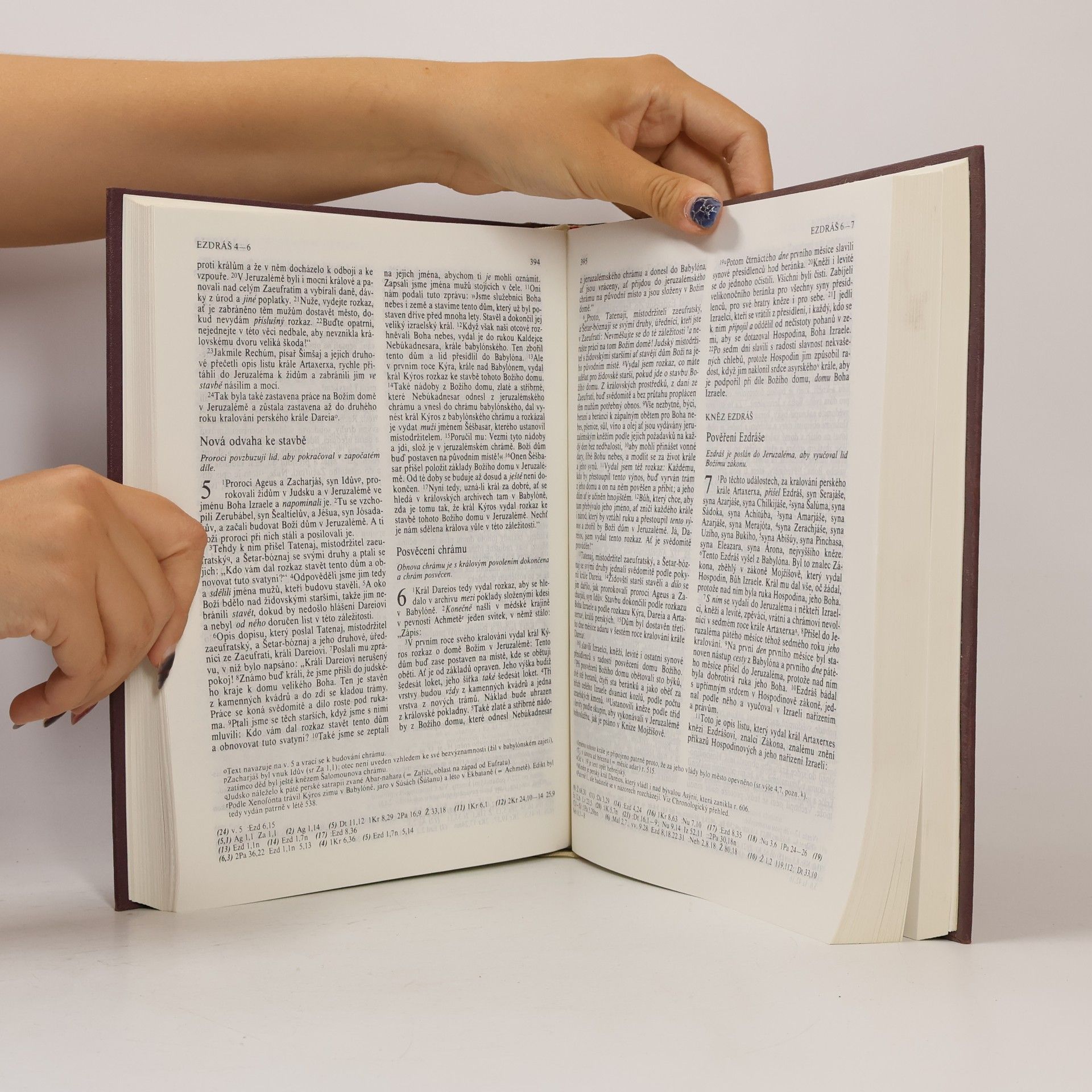 Autorenkollektiv Bible