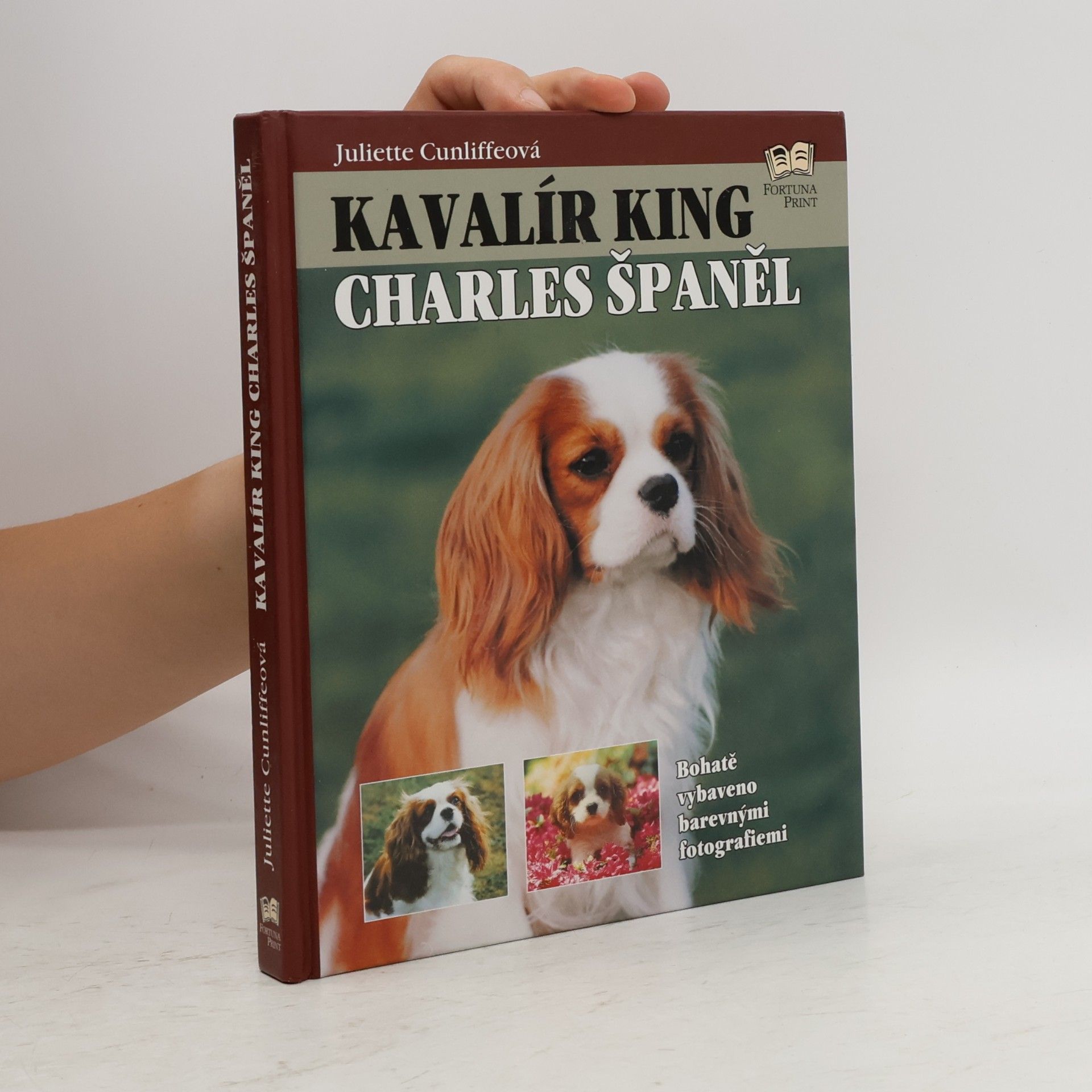 Juliette Cunliffe Kavalír king Charles španěl