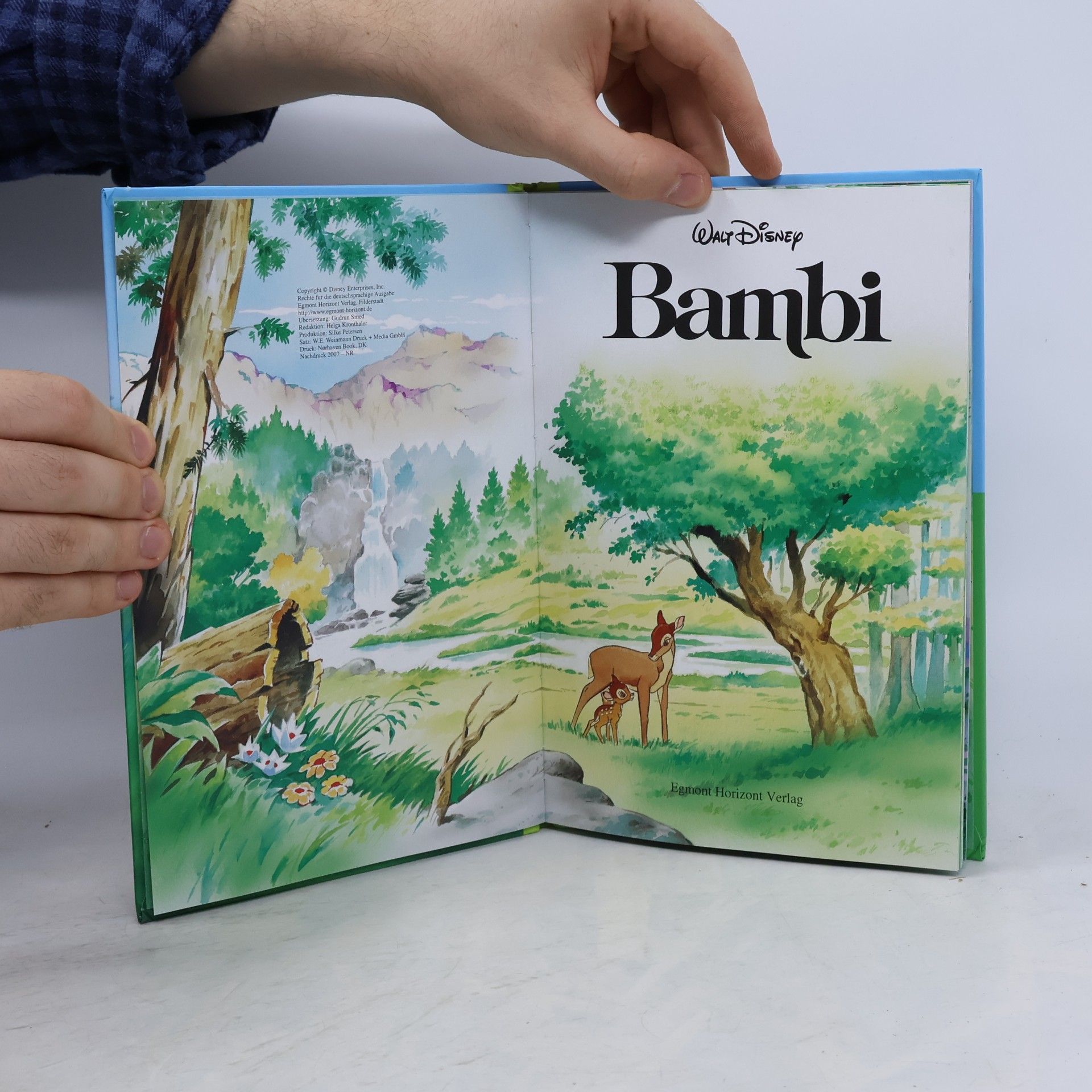 Autorenkollektiv Bambi