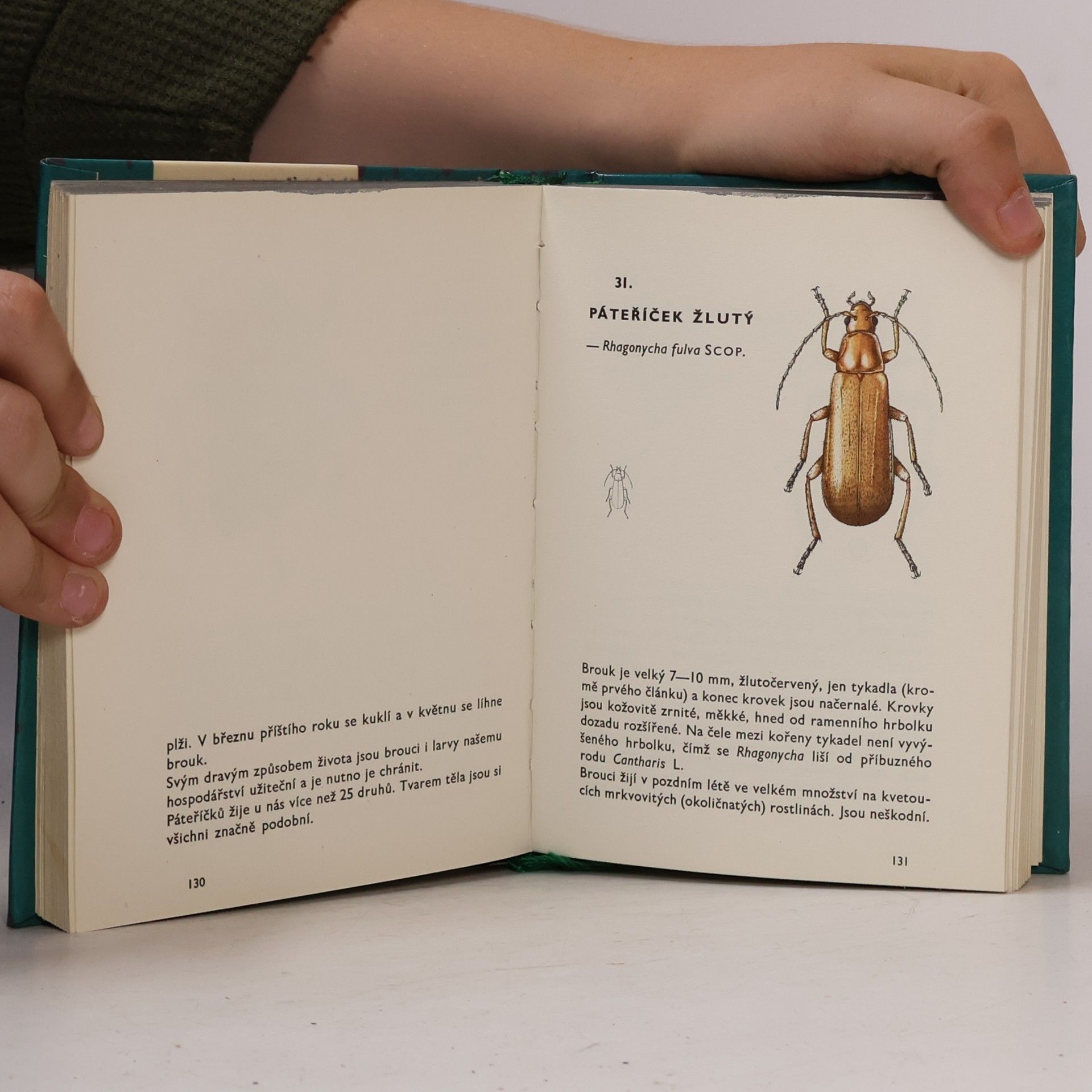 Vladimír Javorek Kapesní atlas brouků