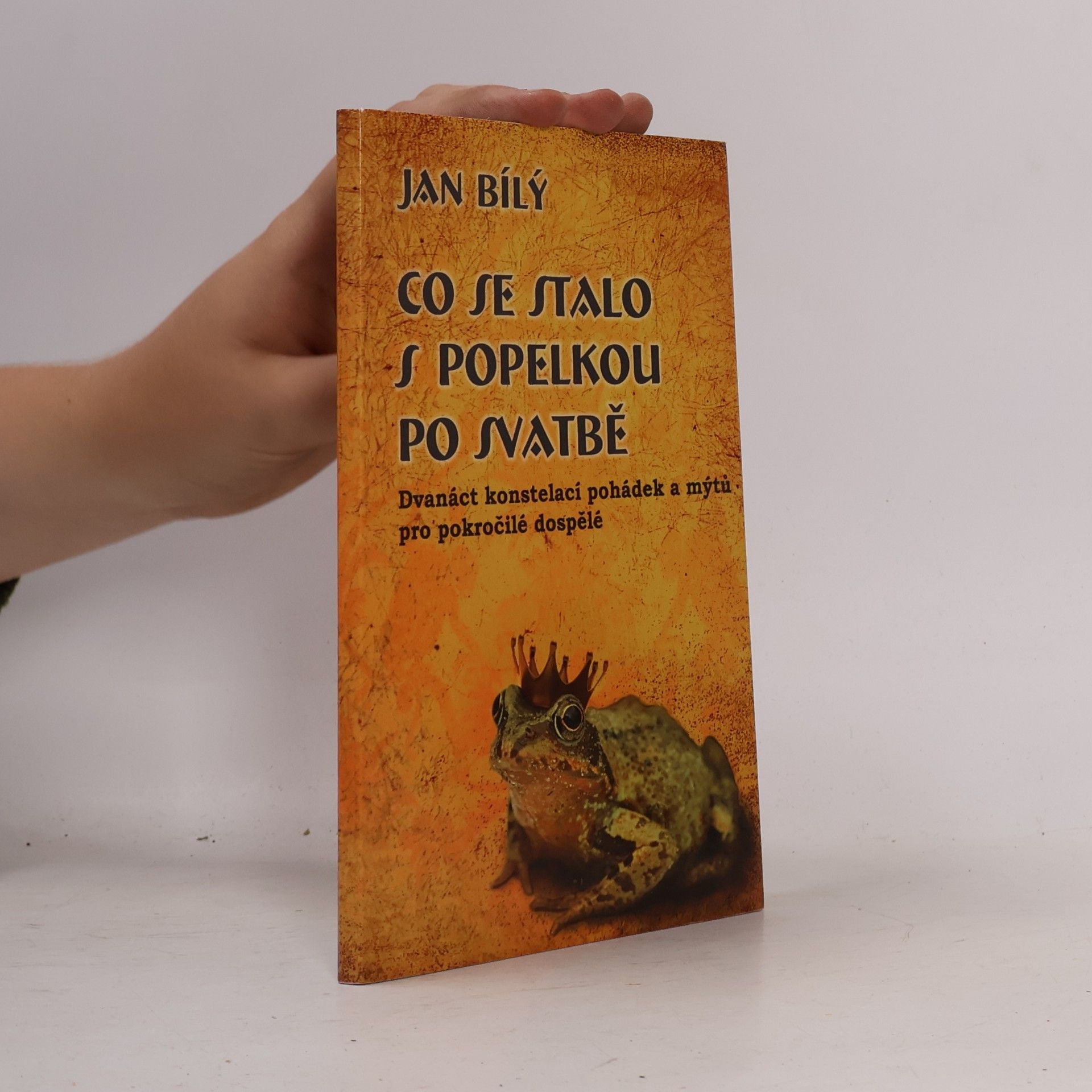 Jan Bílý Co se stalo s Popelkou po svatbě
