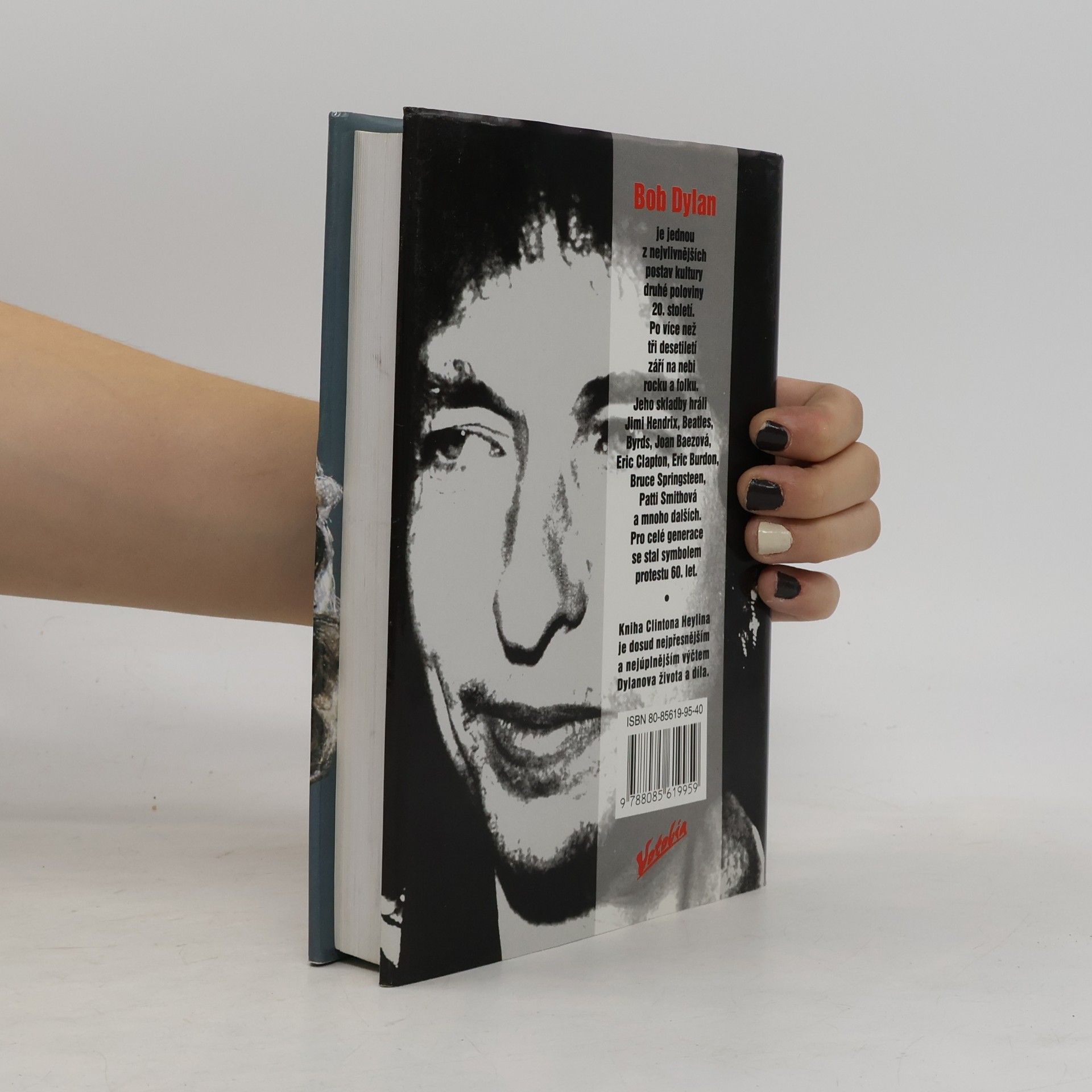 Clinton Heylin Bob Dylan