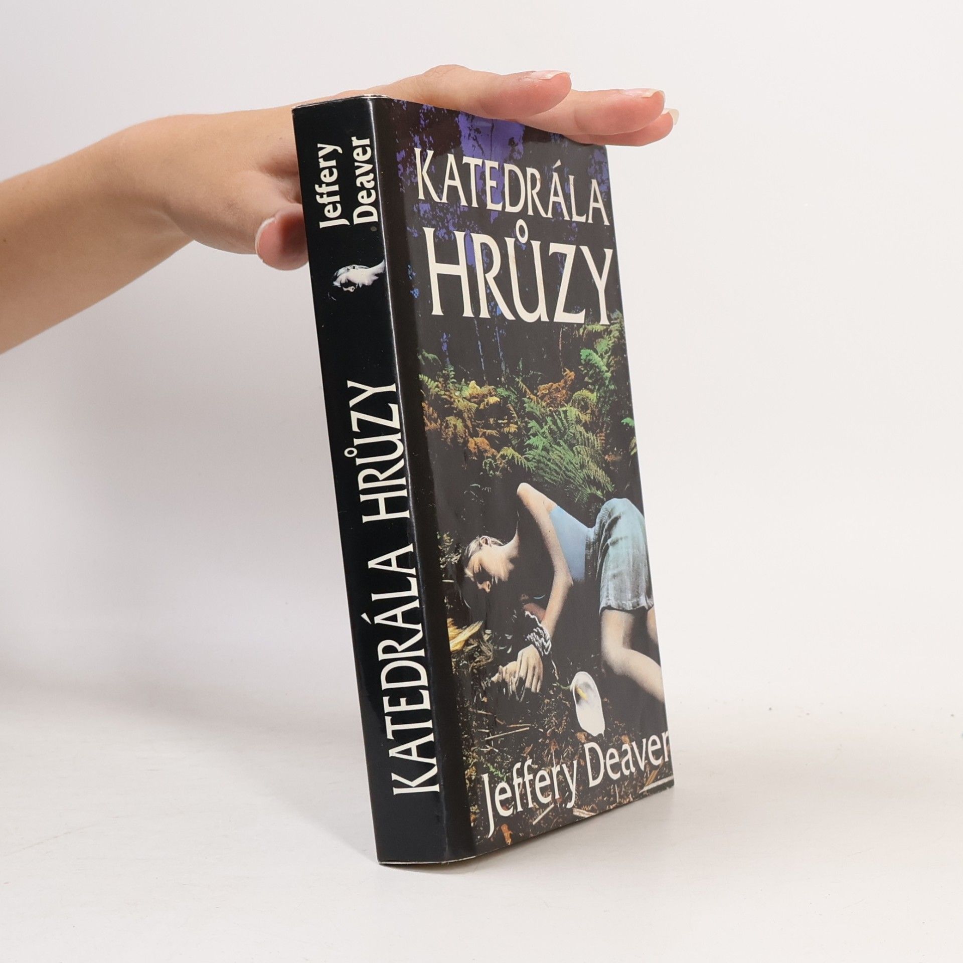 Jeffery Deaver Katedrála hrůzy