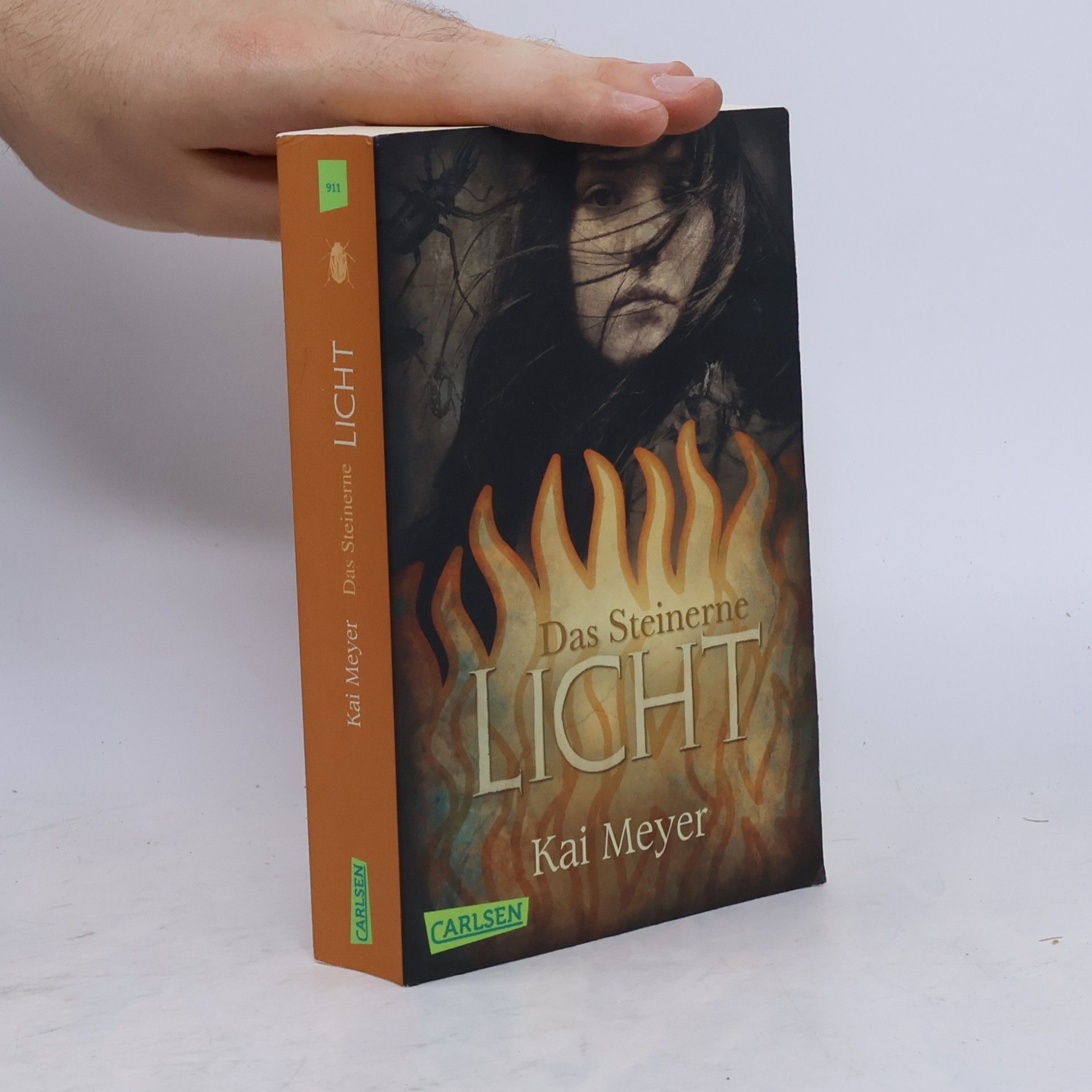 Kai Meyer Das Steinerne Licht