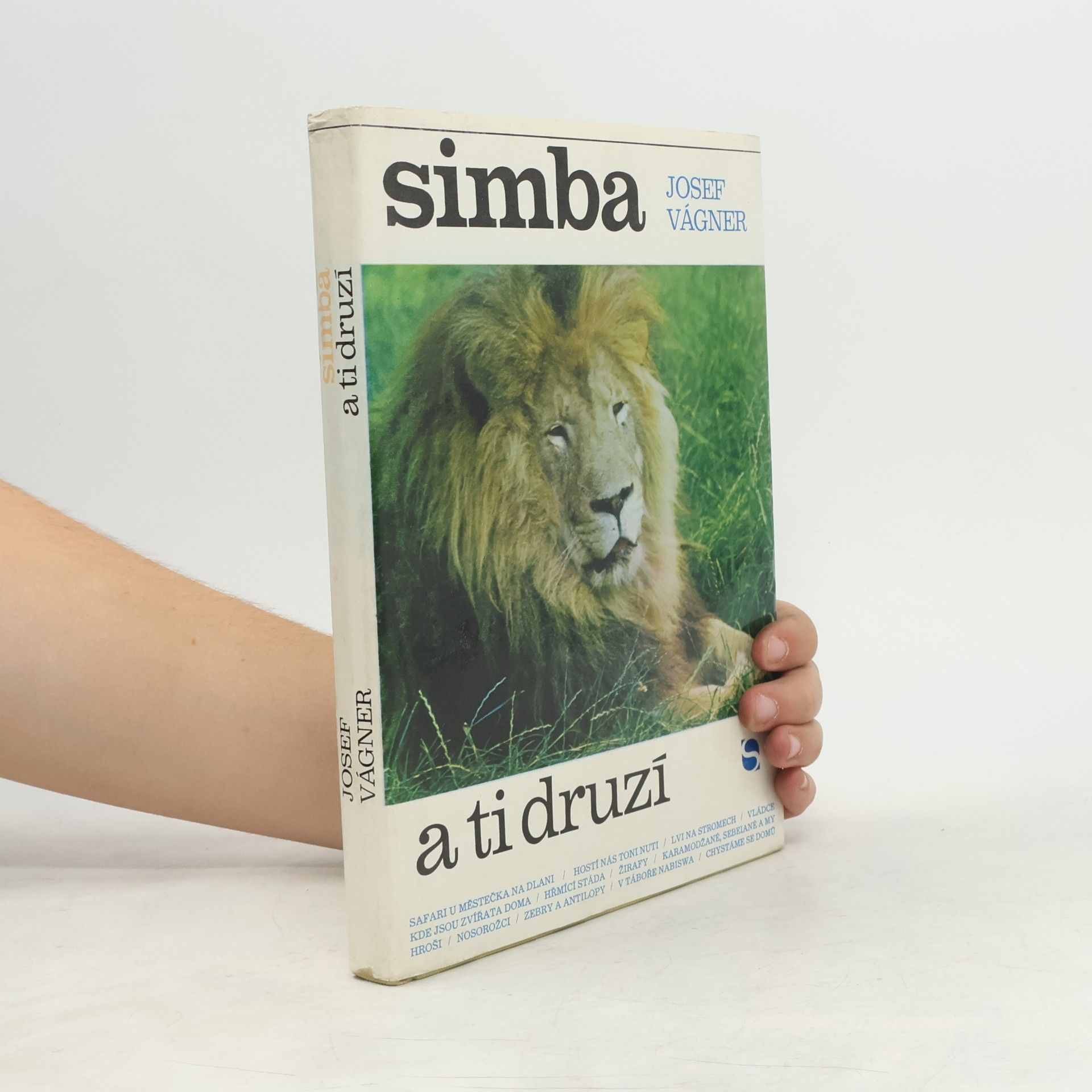 Simba a ti druzí