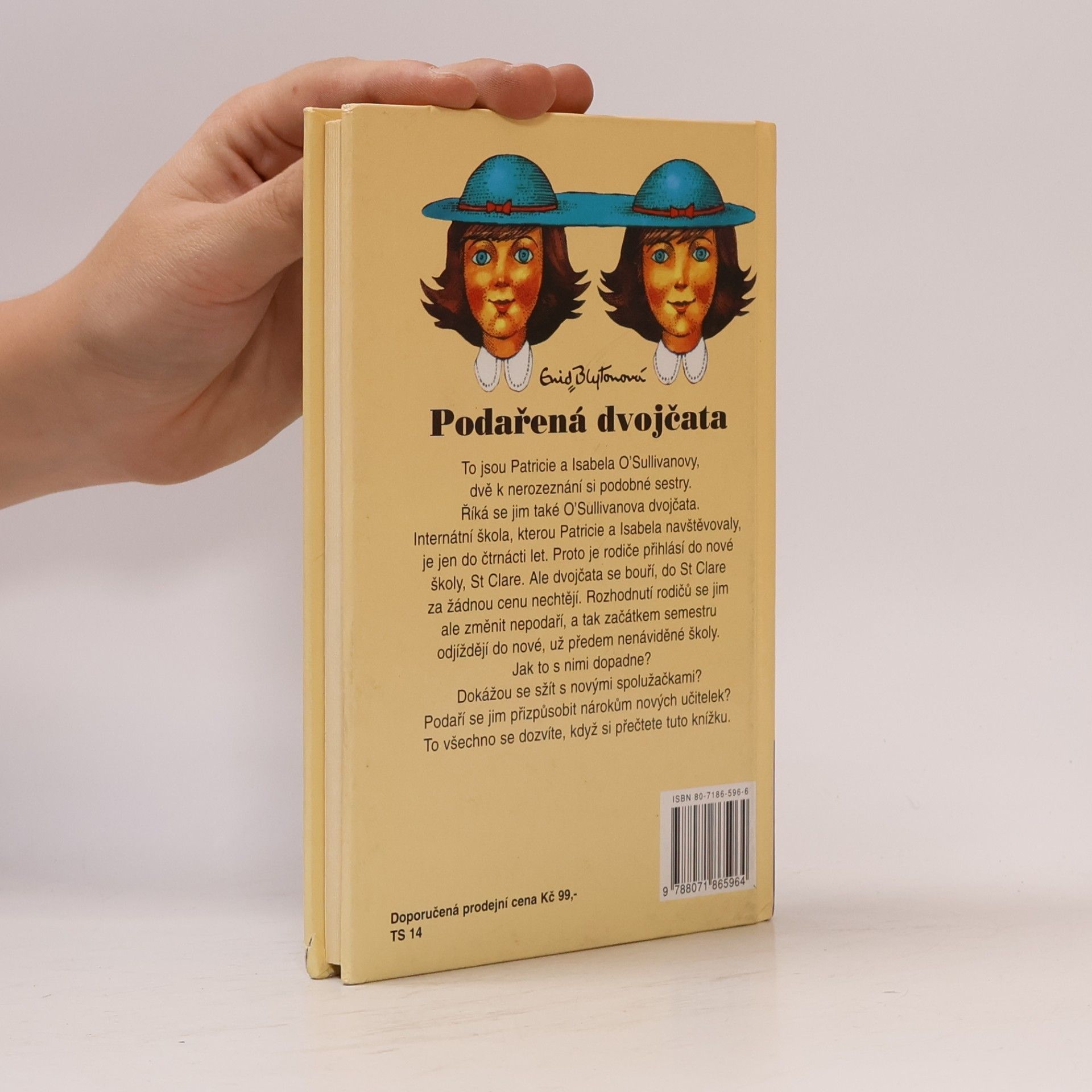 Enid Blyton Podařená dvojčata