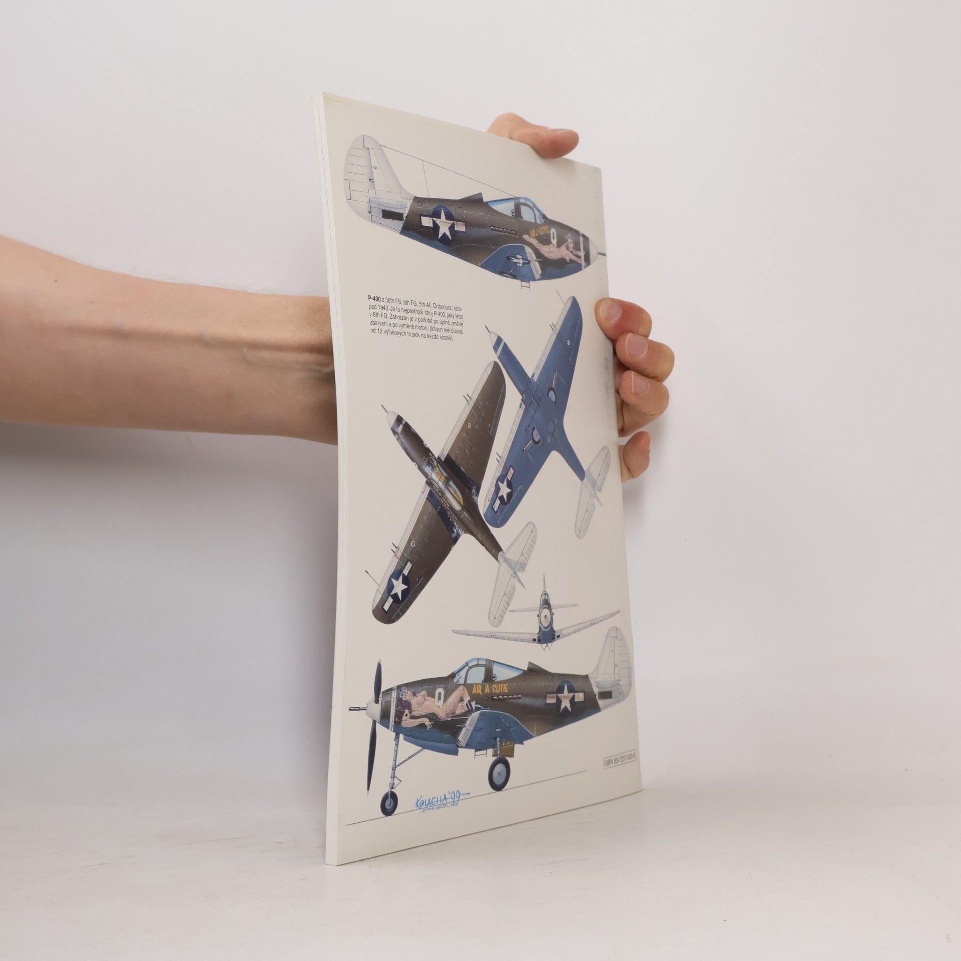 Jacek Tomalik Bell P-39 Airacobra