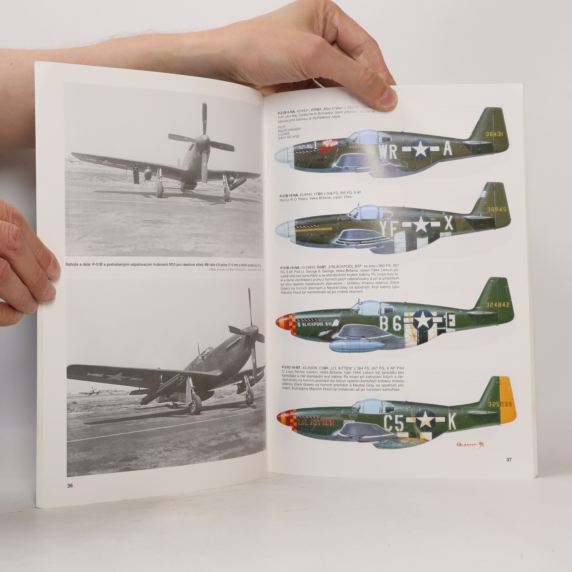 Jacek B. Żurek North American P-51 Mustang