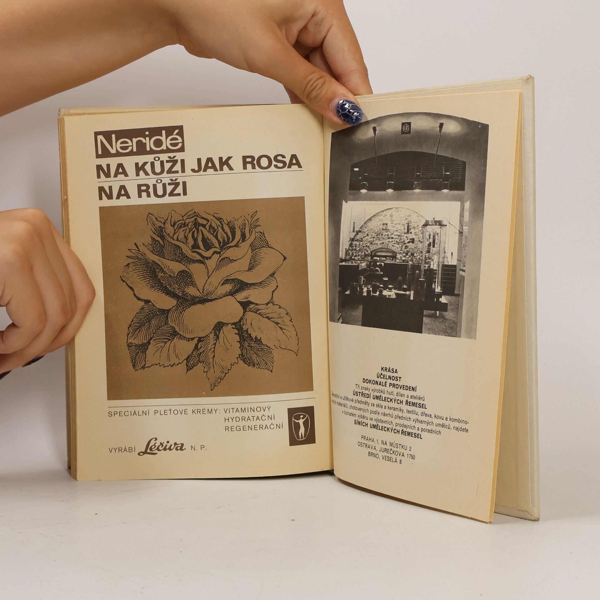 Autorenkollektiv Encyklopedie mladé ženy